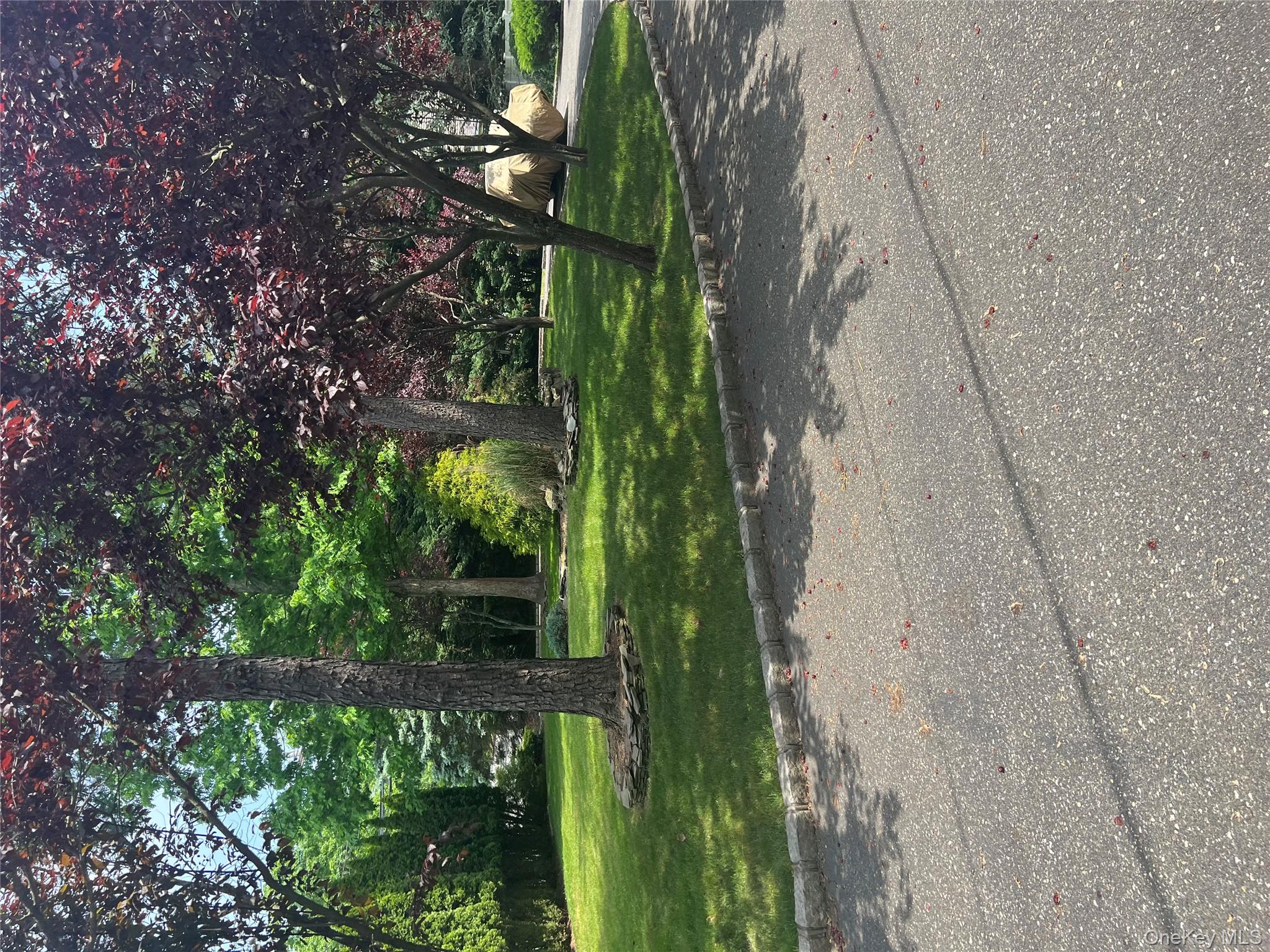 10 Jonah Road Miller Place, NY 11764 - Photo 13 of 16 a view of a house with a big yard and large trees