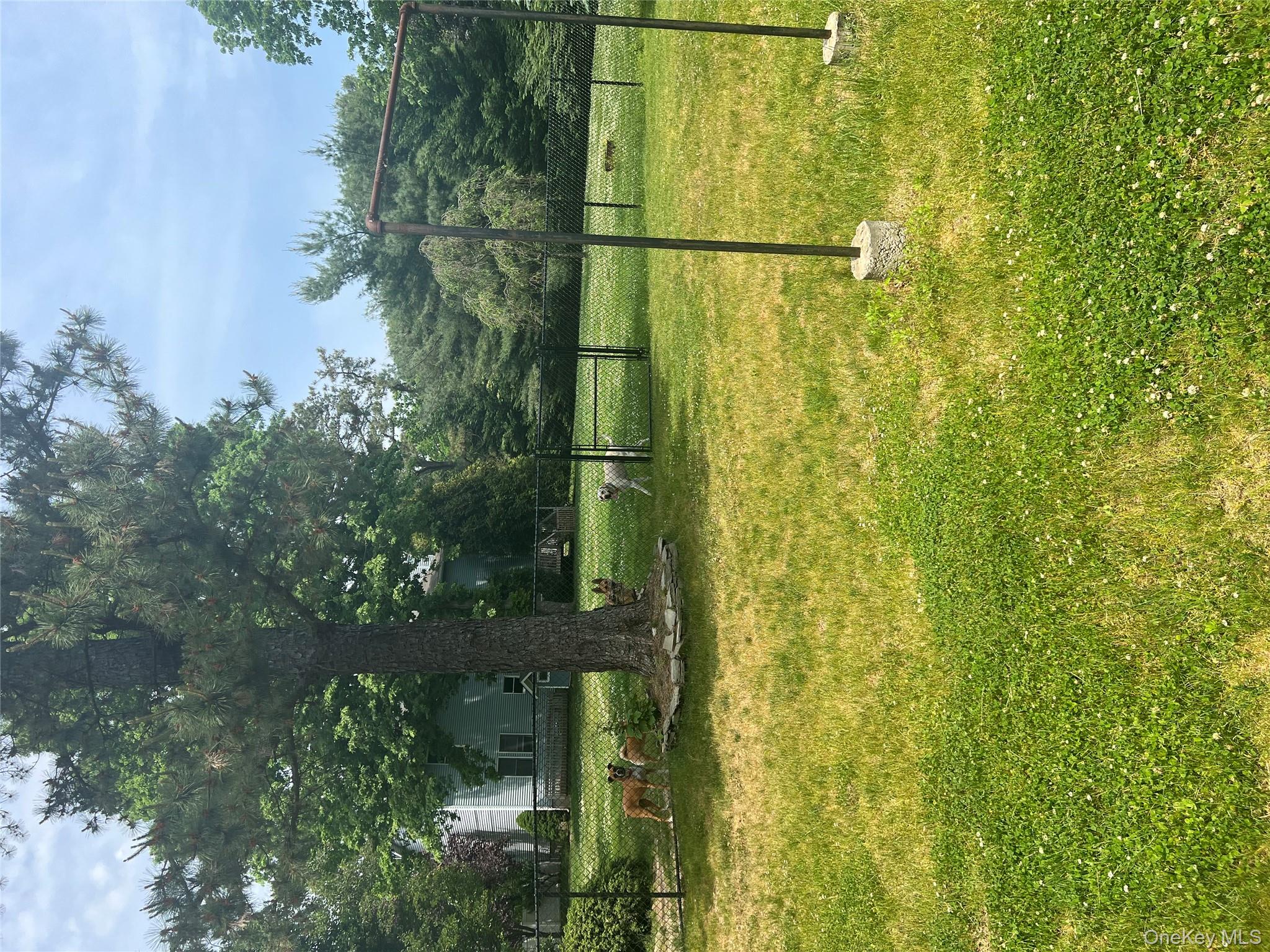 10 Jonah Road Miller Place, NY 11764 - Photo 16 of 16 a swimming pool with trees in the background