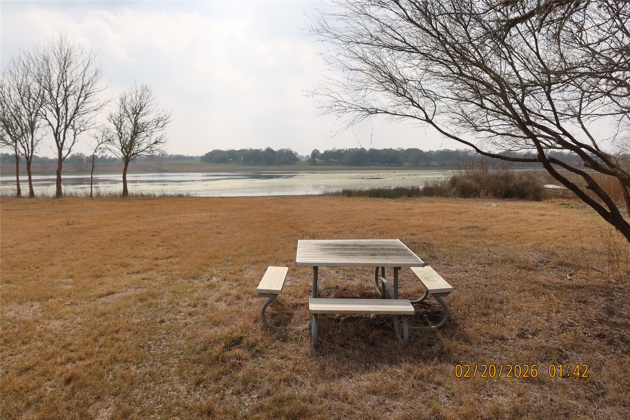 0 Bauer Road Fayetteville, TX 78940 - Photo 14 of 16 a view of a lake with a yard