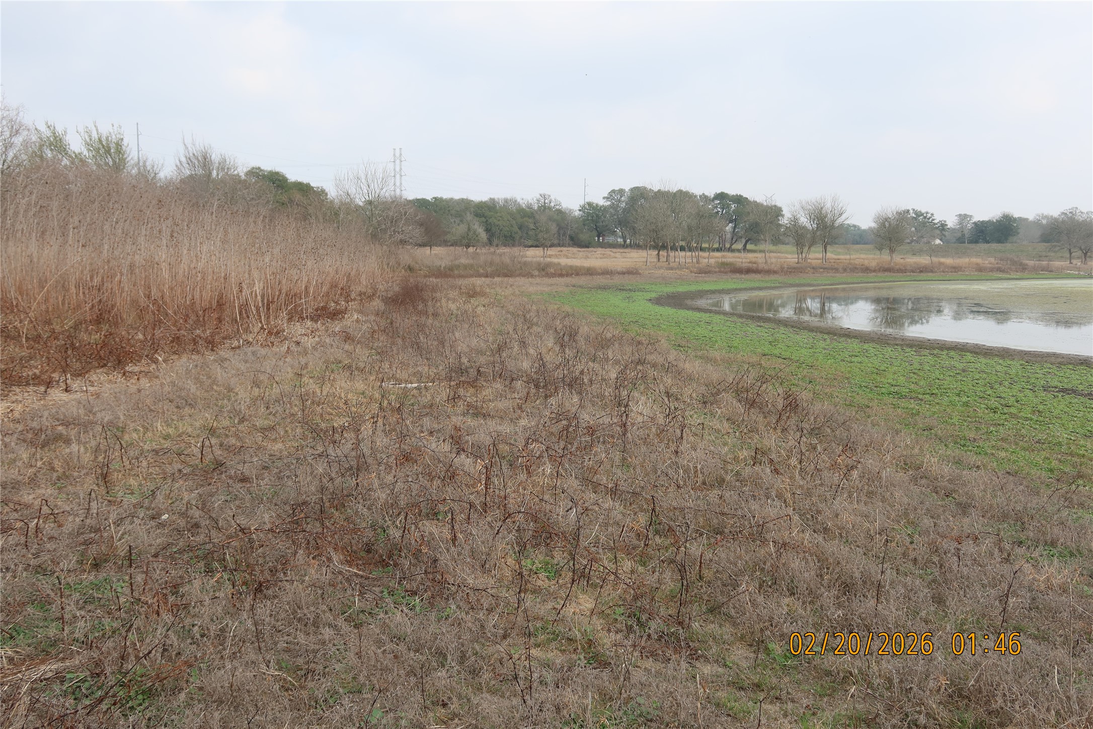 0 Bauer Road Fayetteville, TX 78940 - Photo 15 of 16 a view of outdoor space and mountain view
