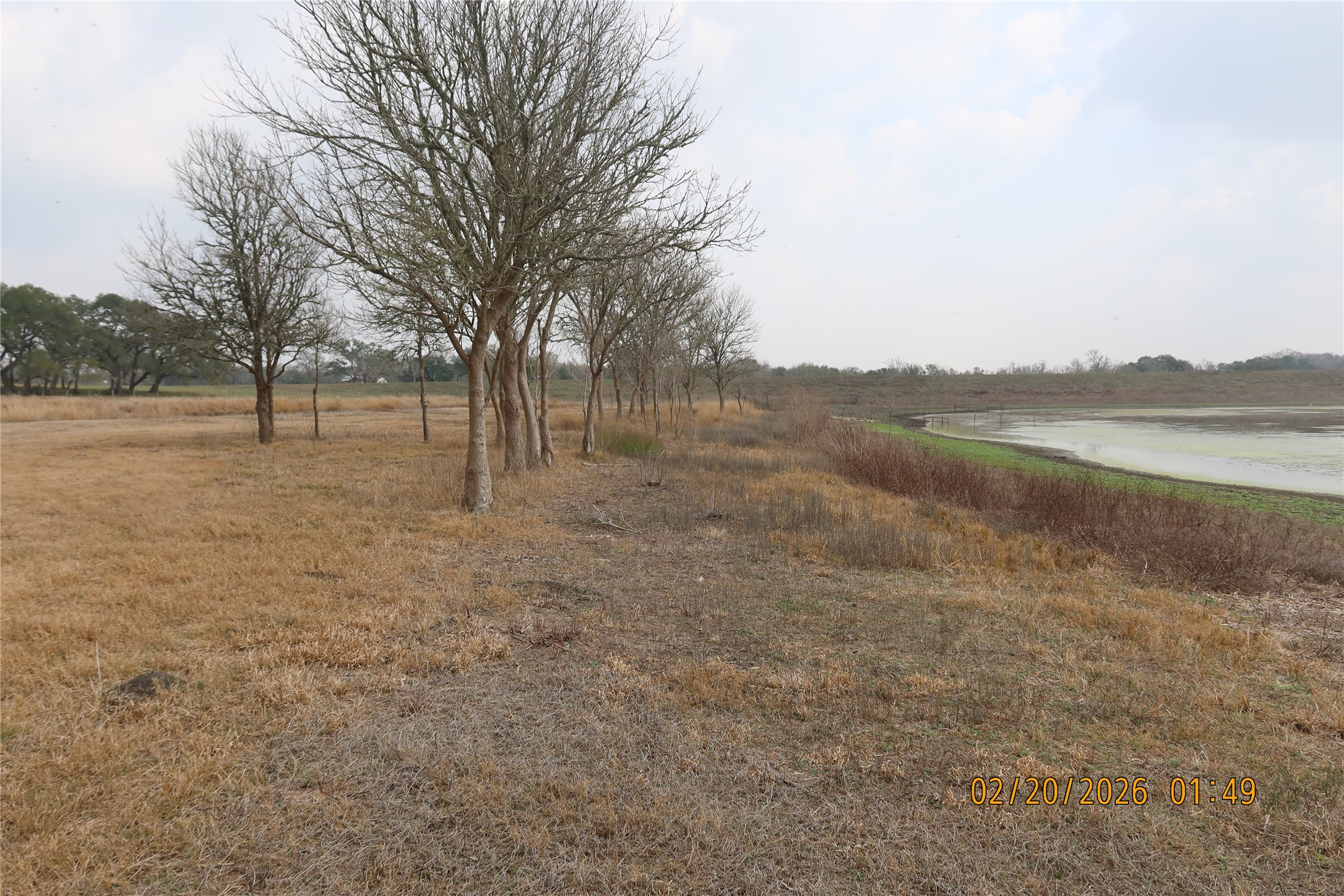 0 Bauer Road Fayetteville, TX 78940 - Photo 16 of 16 a view of lake with mountain