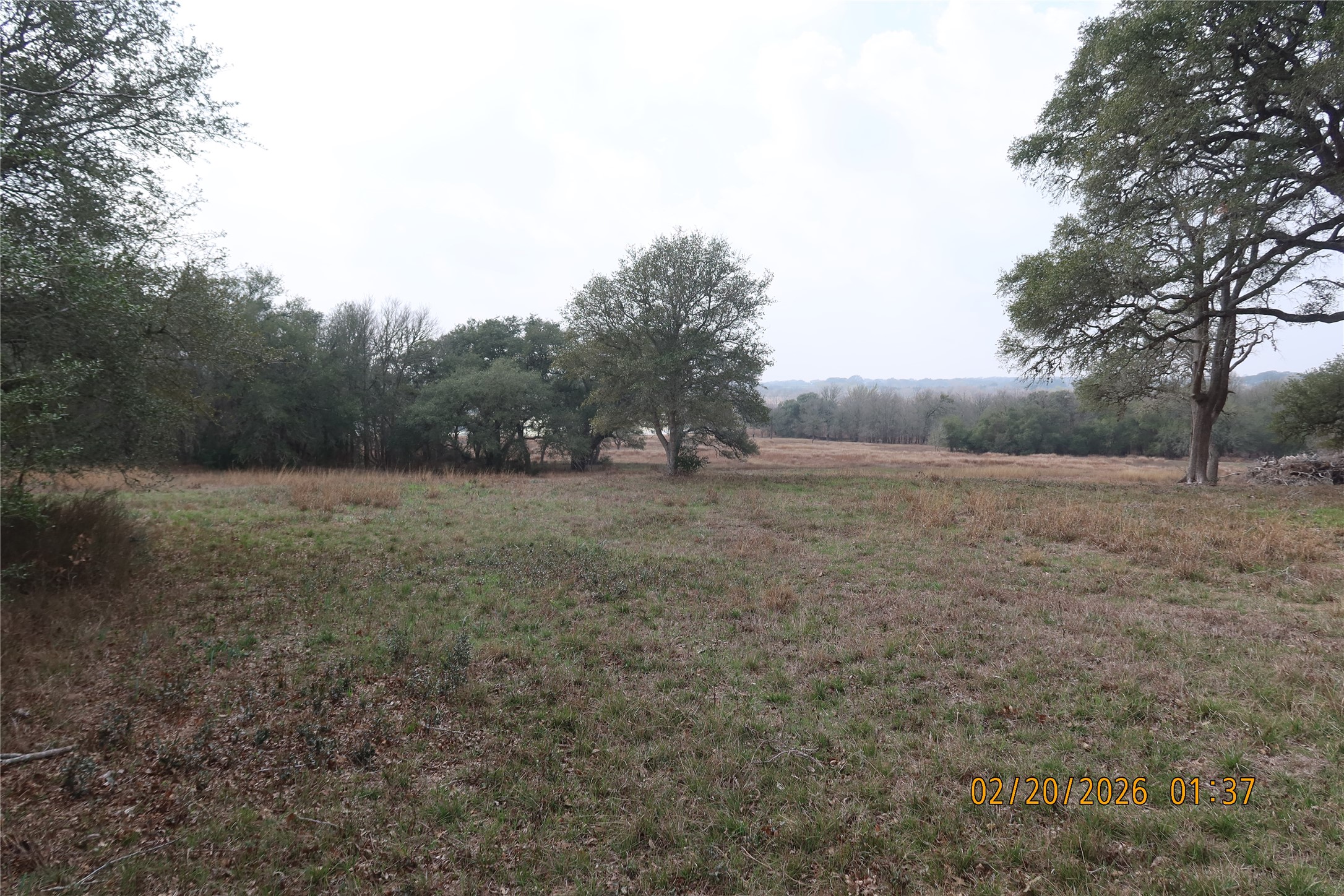 0 Bauer Road Fayetteville, TX 78940 - Photo 3 of 16 a view of a open space with green field and trees