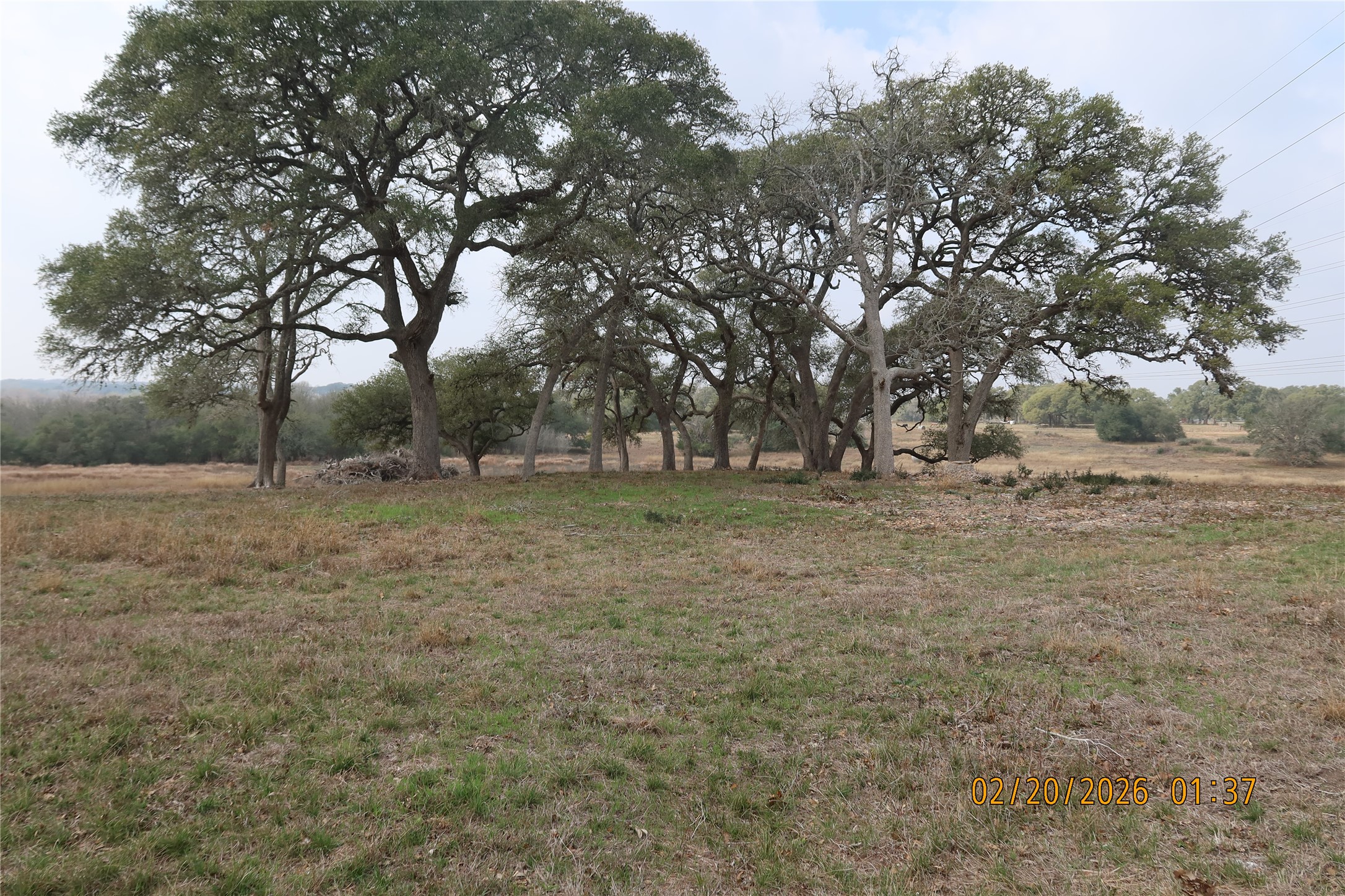 0 Bauer Road Fayetteville, TX 78940 - Photo 4 of 16 a backyard of a house with lots of green space