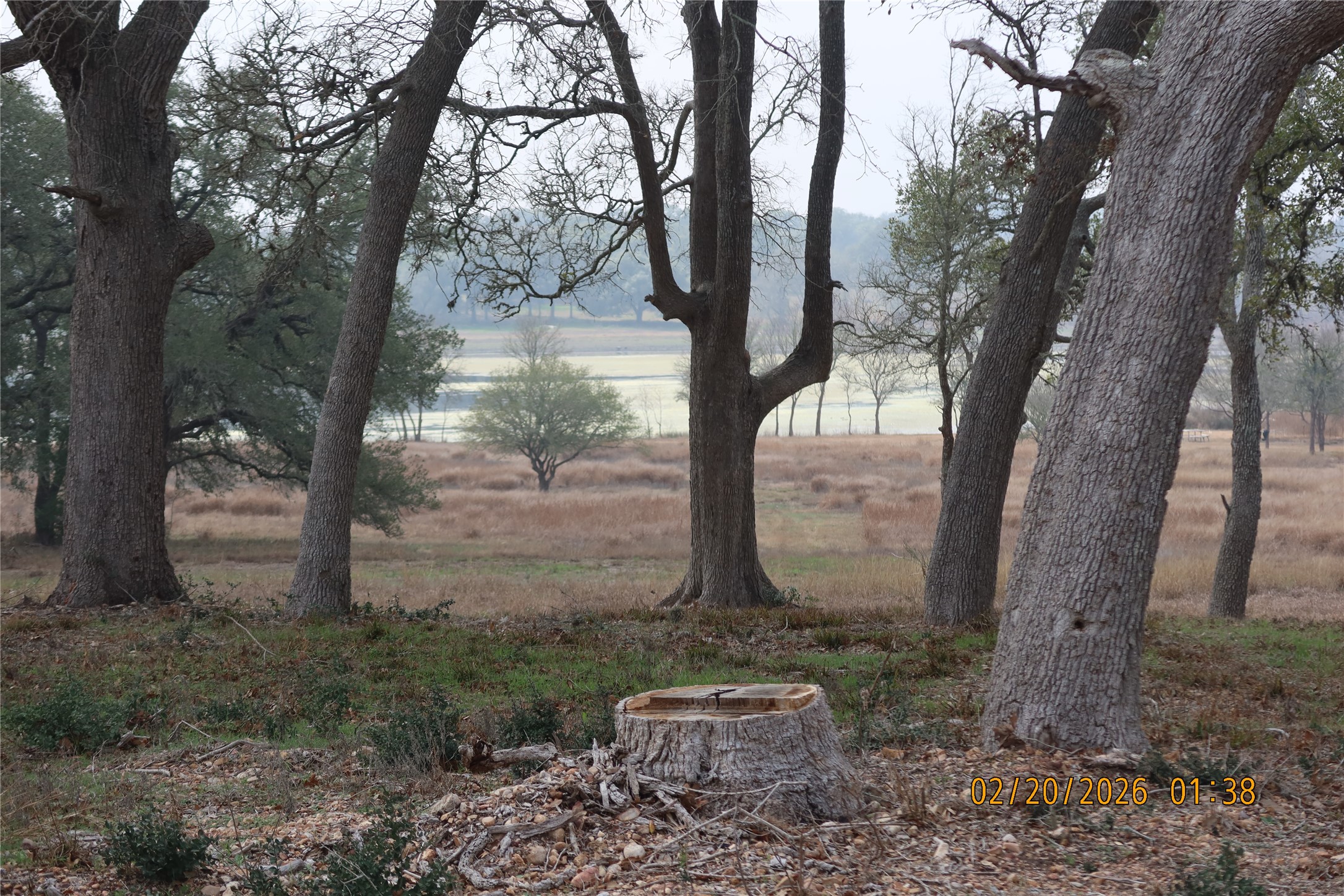 0 Bauer Road Fayetteville, TX 78940 - Photo 6 of 16 a backyard of a house with lots of green space
