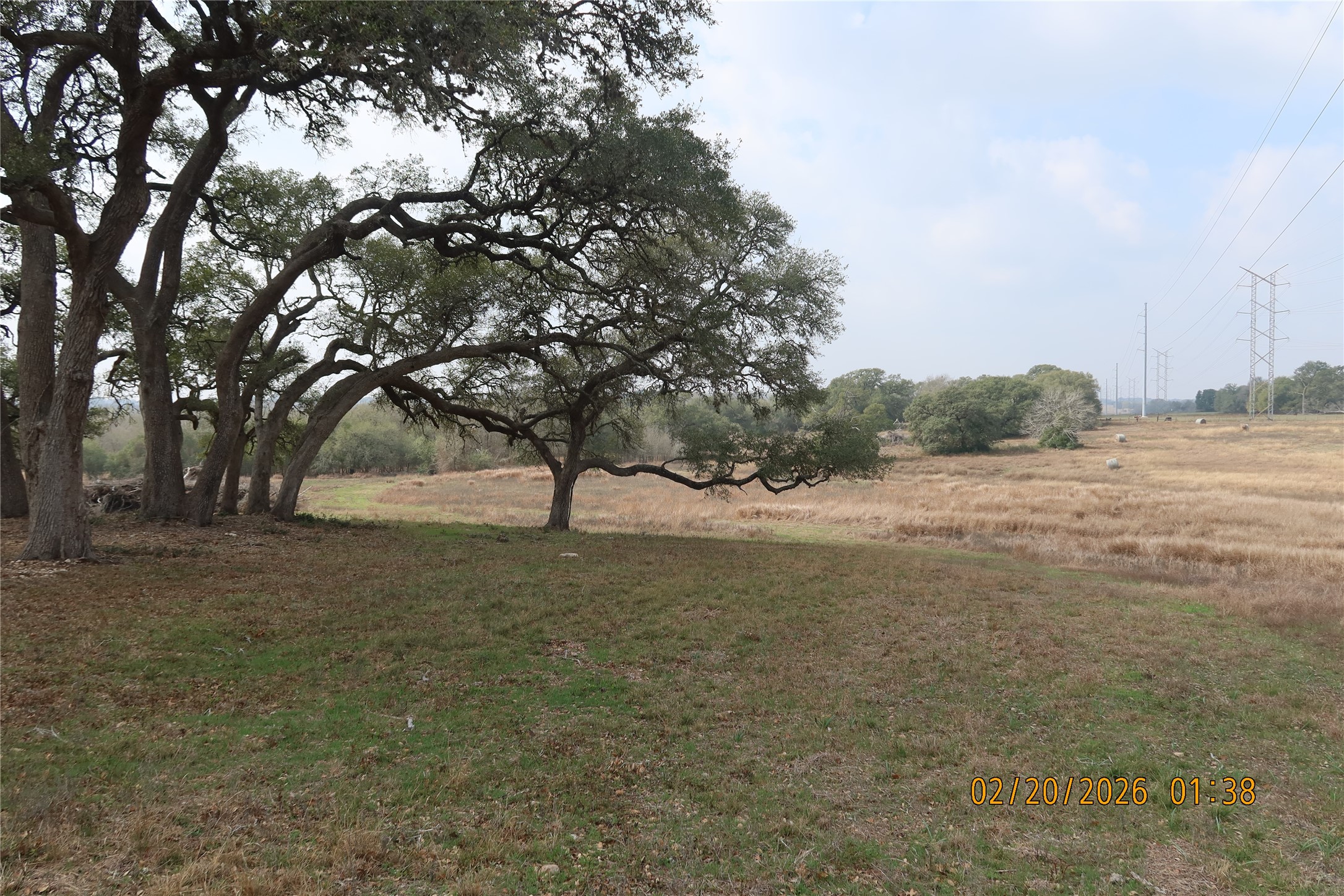 0 Bauer Road Fayetteville, TX 78940 - Photo 7 of 16 a view of dirt yard with a tree