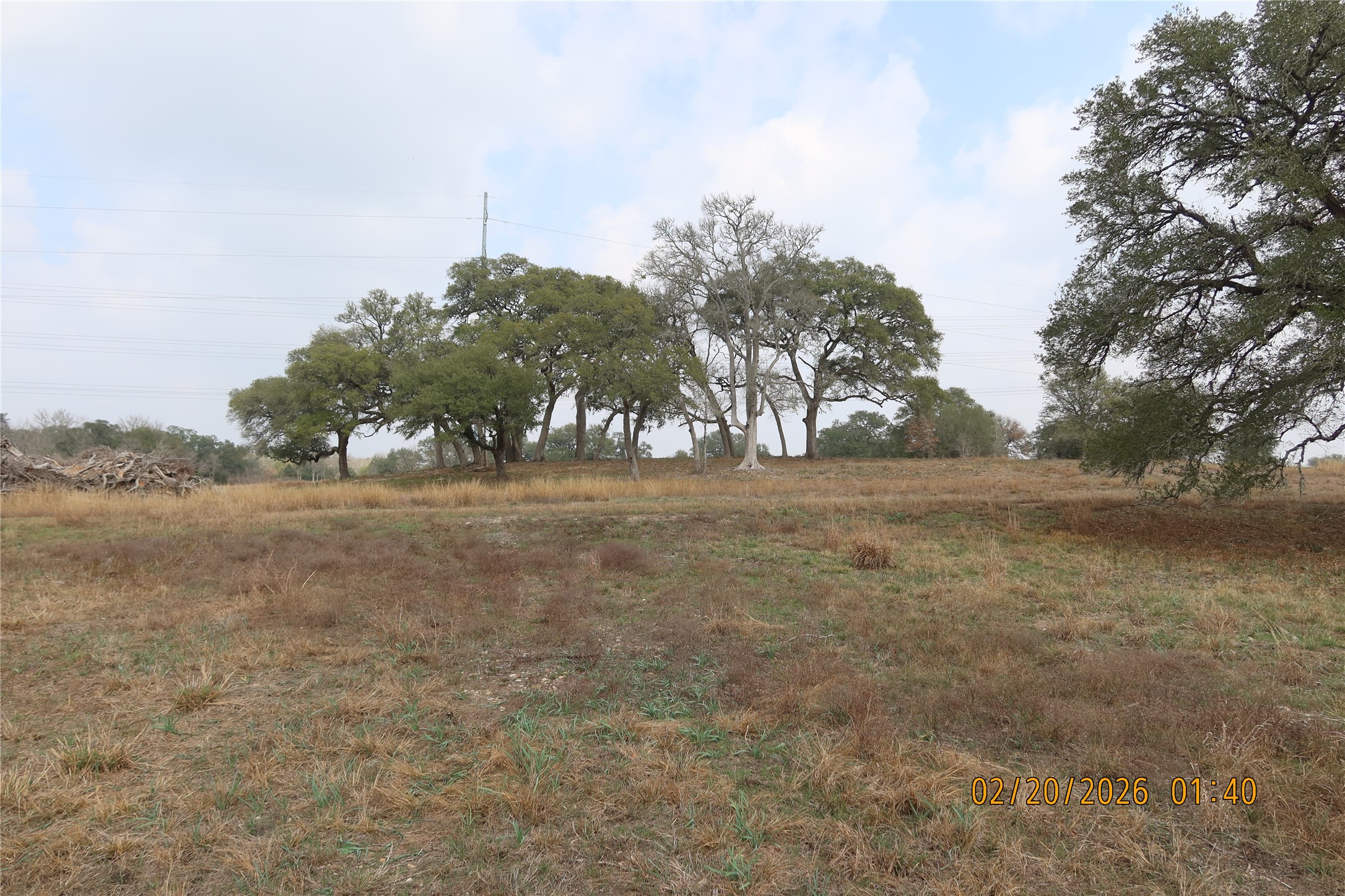 0 Bauer Road Fayetteville, TX 78940 - Photo 10 of 16 a view of dirt field with trees around