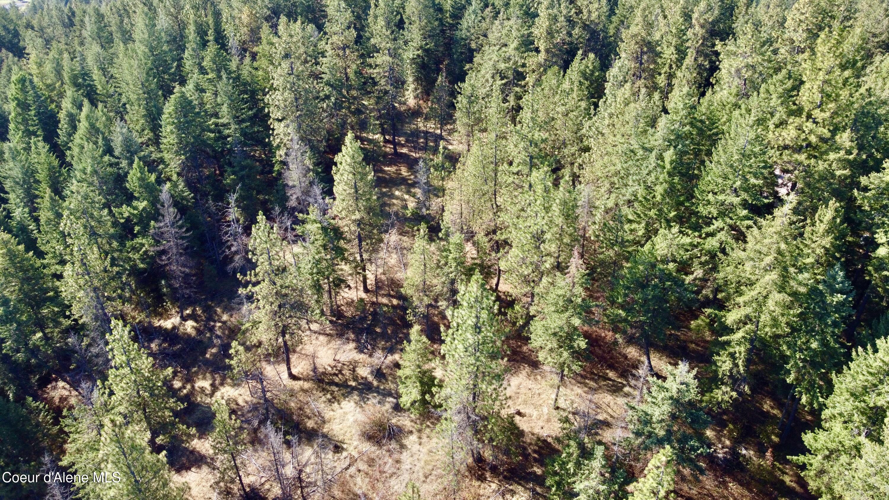 Nna Parcel South Cederbloom Road Coeur D'Alene, ID 83814 - Photo 11 of 23 11