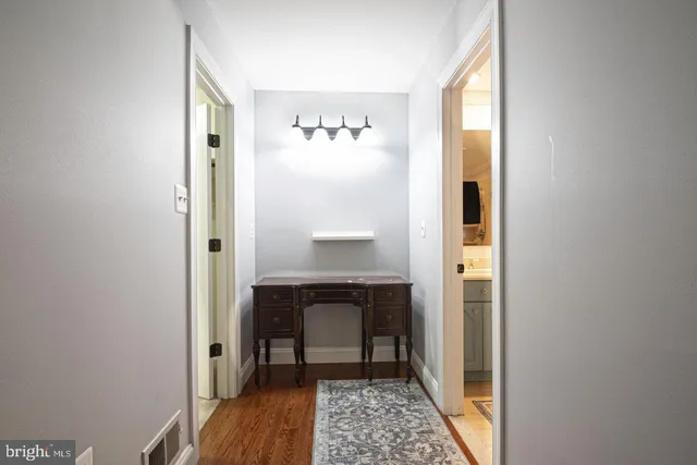 a view of a forest with trees