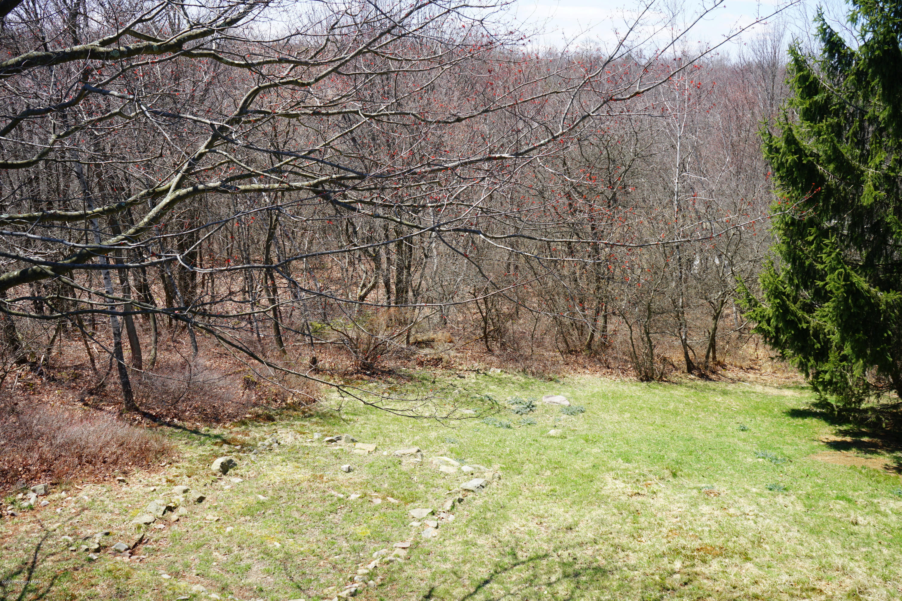 1487 Clover Road Long Pond, PA 18334 - Photo 27 of 27 1487 yard