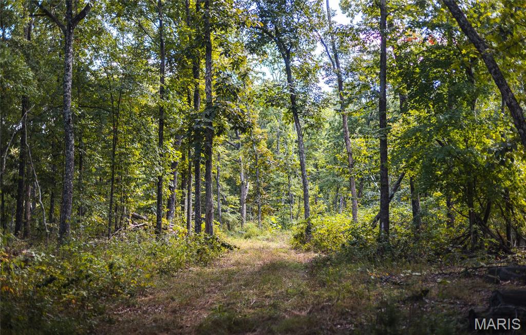 4 Buck Mountain Road Ironton, MO 63650 - Photo 23 of 27