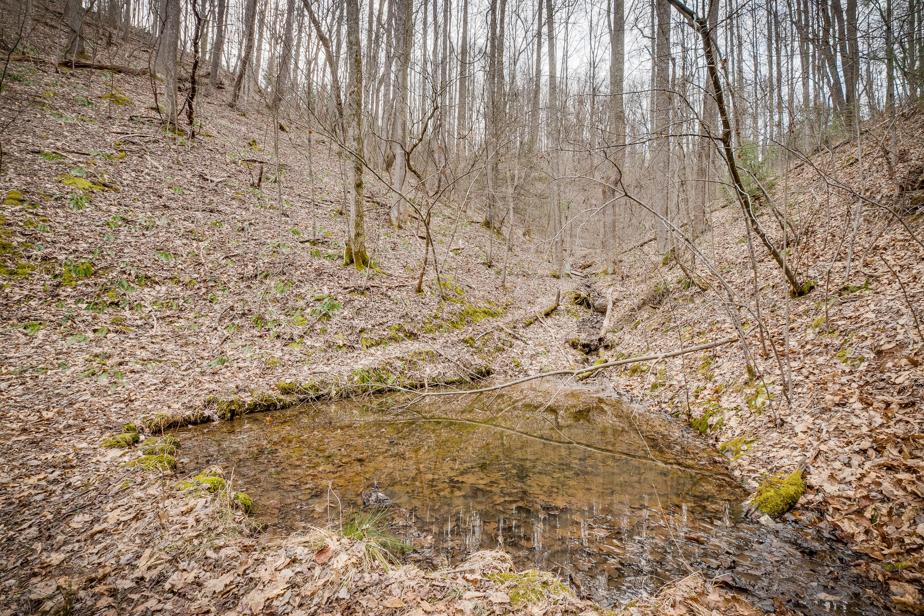 Tbd Harris Hollow Road Erwin, TN 37650 - Photo 13 of 26 013