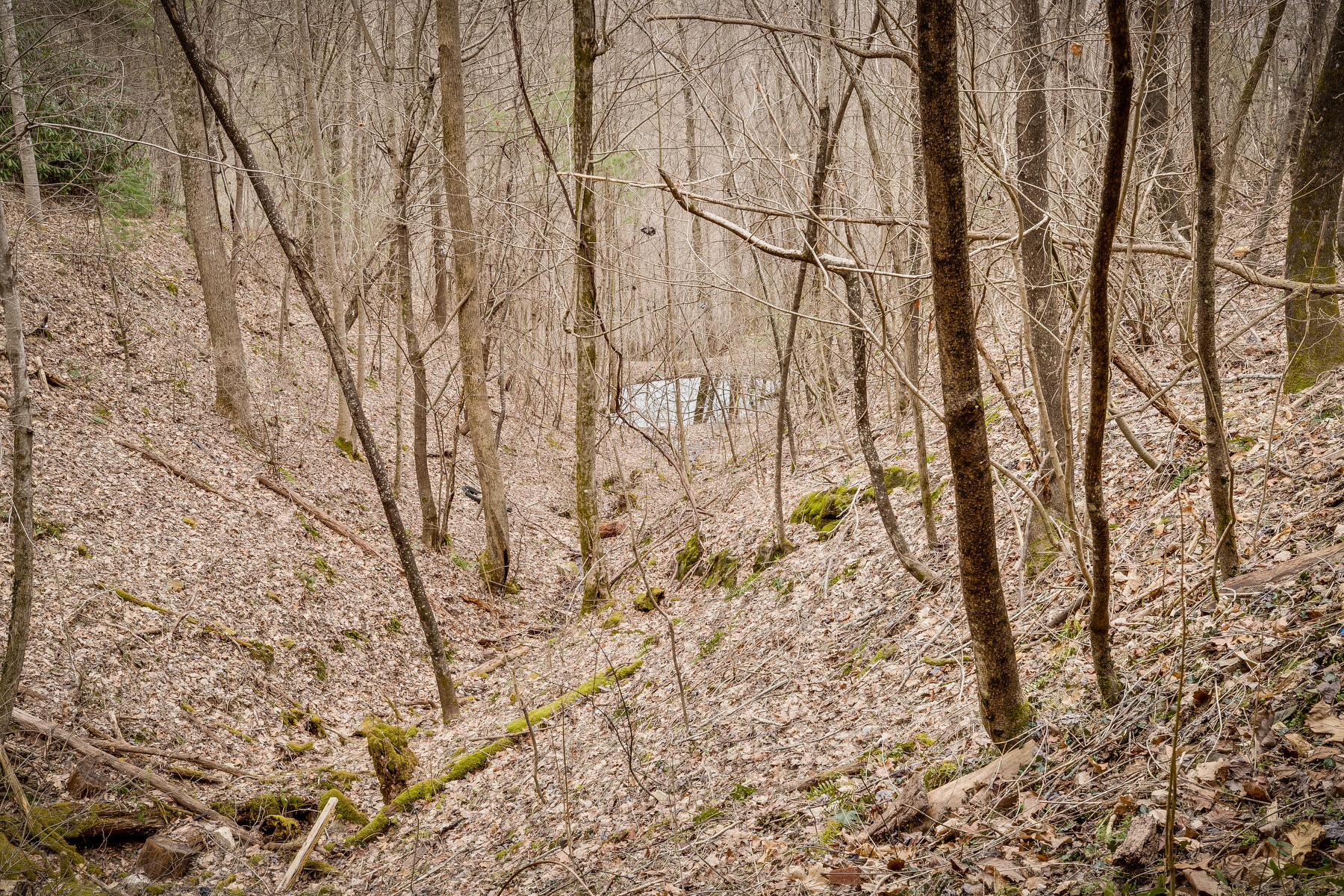 Tbd Harris Hollow Road Erwin, TN 37650 - Photo 14 of 26 016