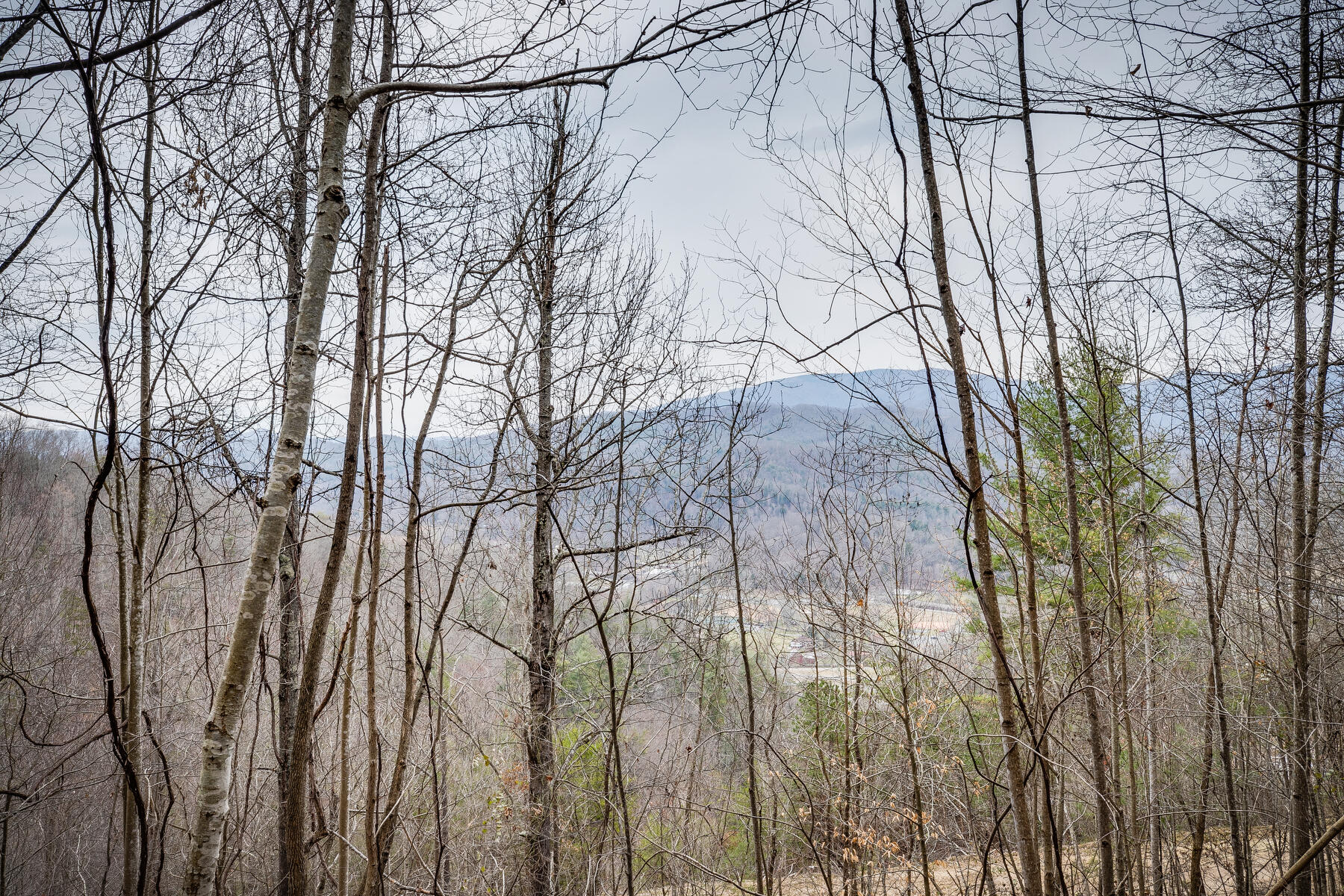 Tbd Harris Hollow Road Erwin, TN 37650 - Photo 15 of 26 017