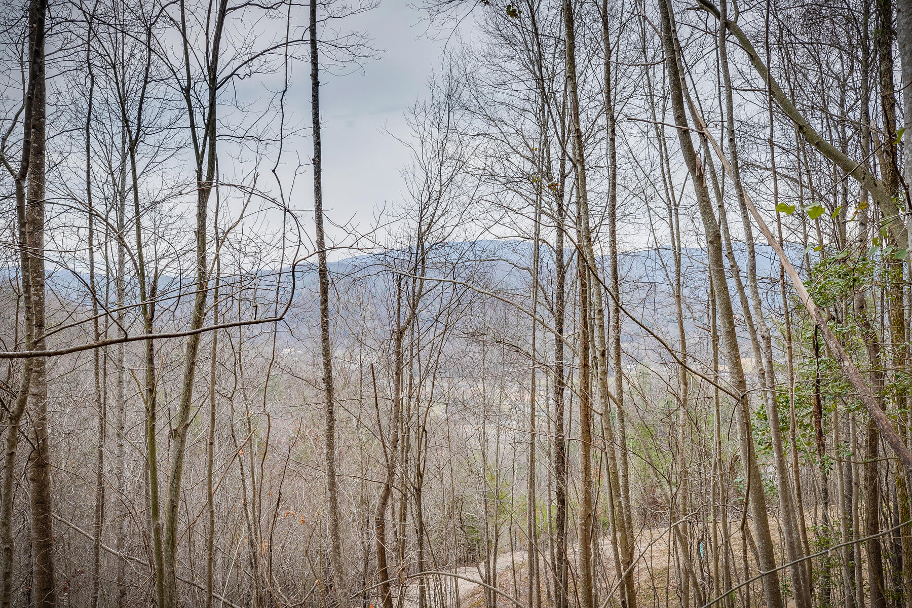 Tbd Harris Hollow Road Erwin, TN 37650 - Photo 16 of 26 018