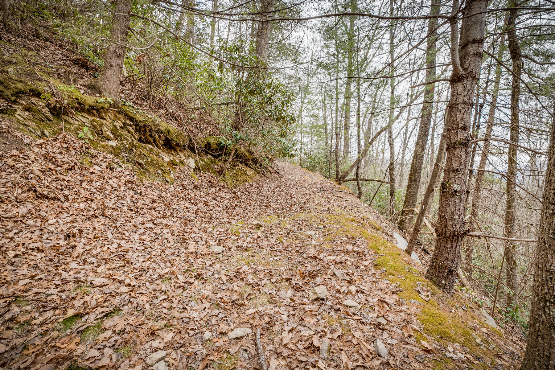 Tbd Harris Hollow Road Erwin, TN 37650 - Photo 17 of 26 019