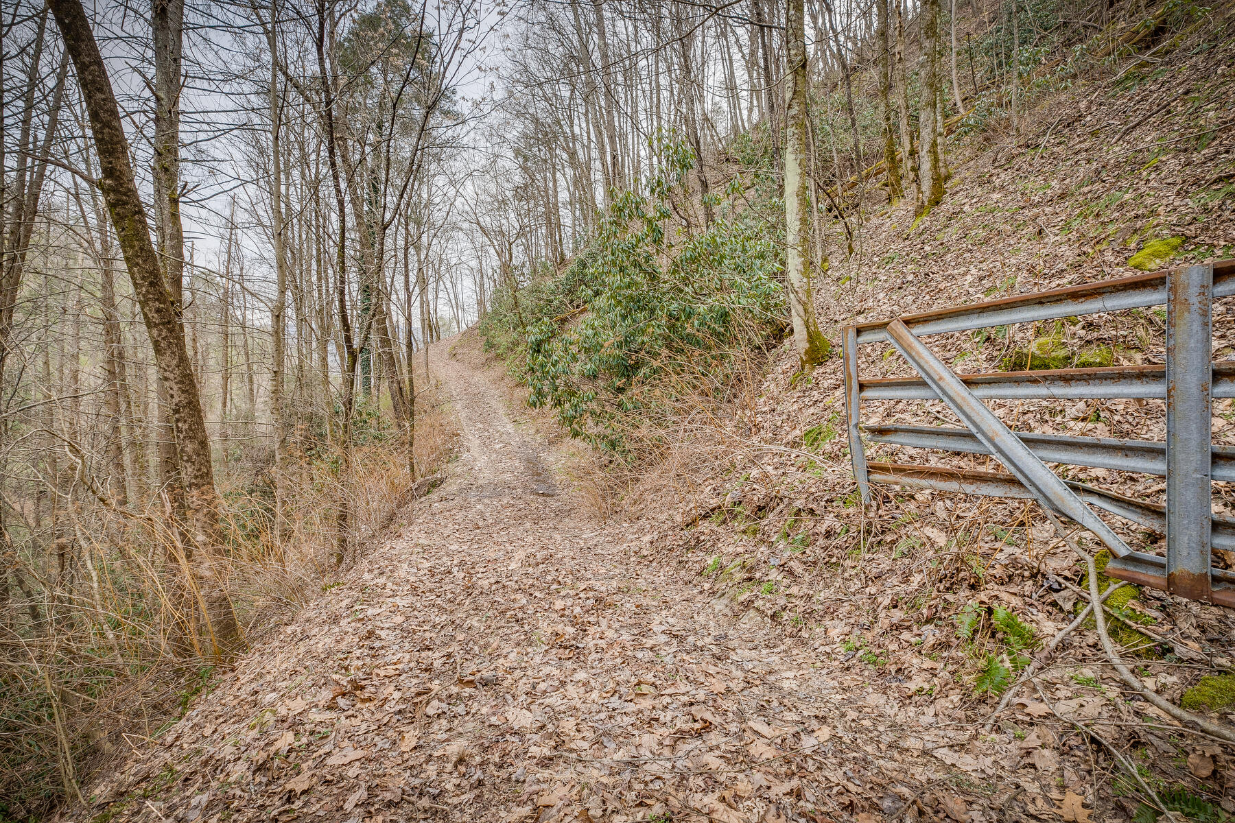 Tbd Harris Hollow Road Erwin, TN 37650 - Photo 18 of 26 020