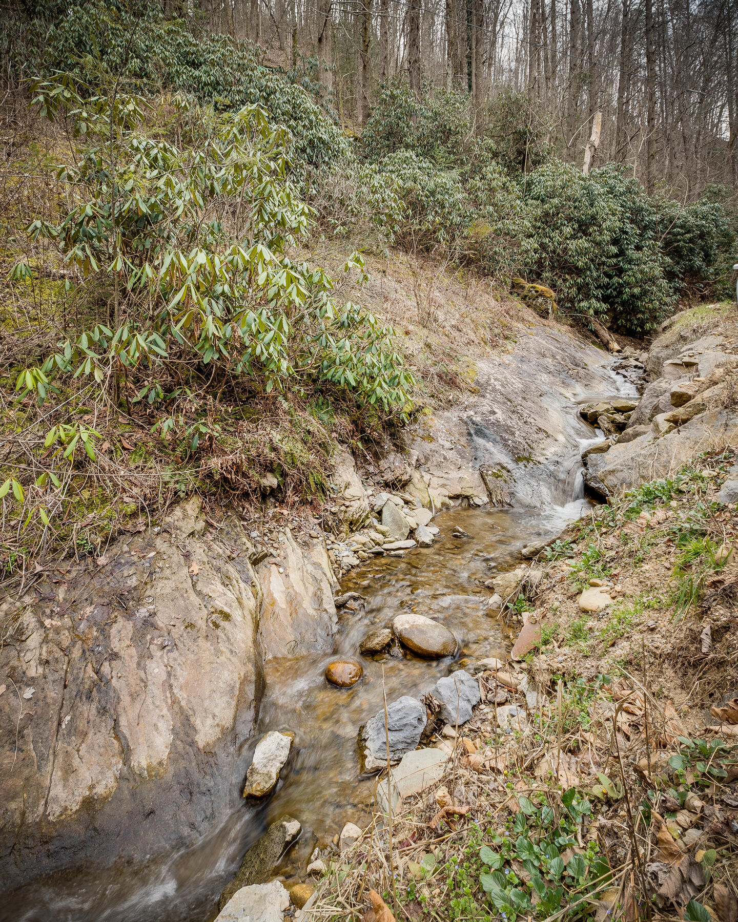 Tbd Harris Hollow Road Erwin, TN 37650 - Photo 19 of 26 021