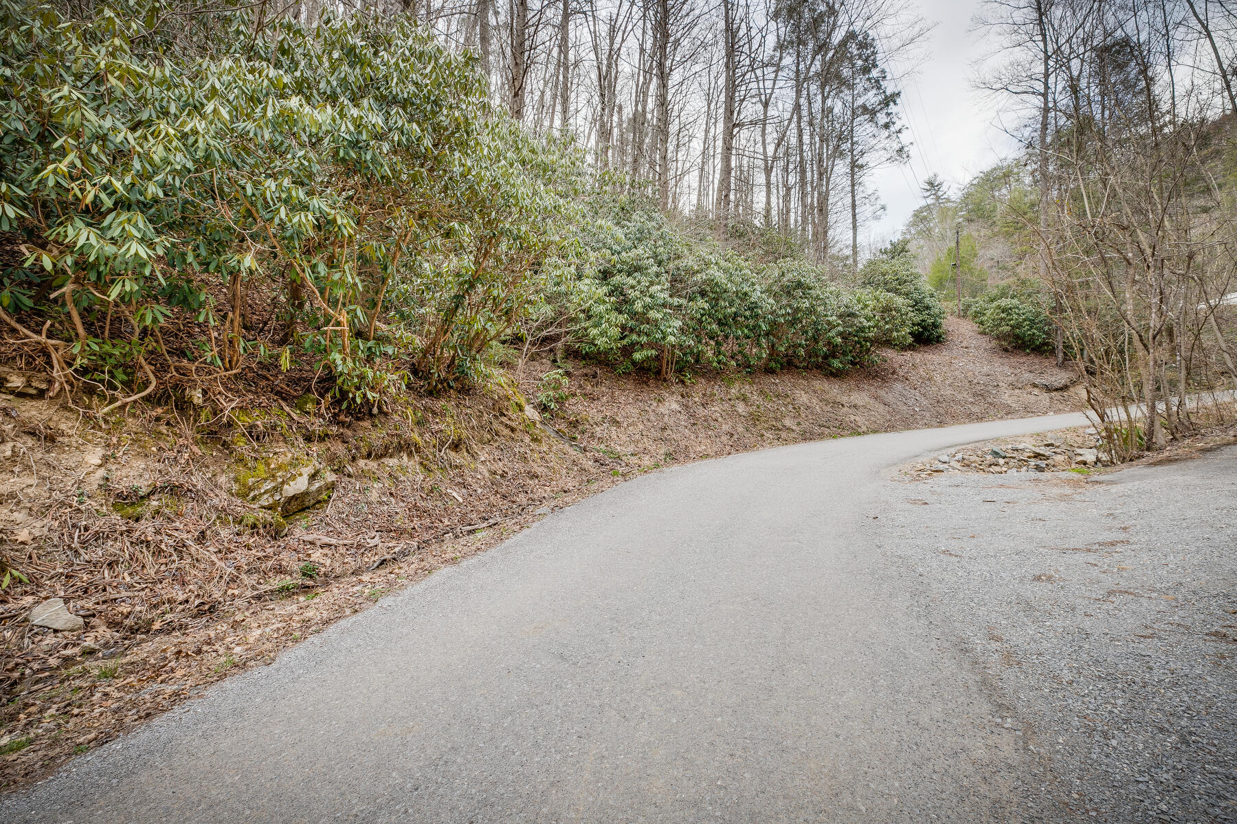 Tbd Harris Hollow Road Erwin, TN 37650 - Photo 20 of 26 022
