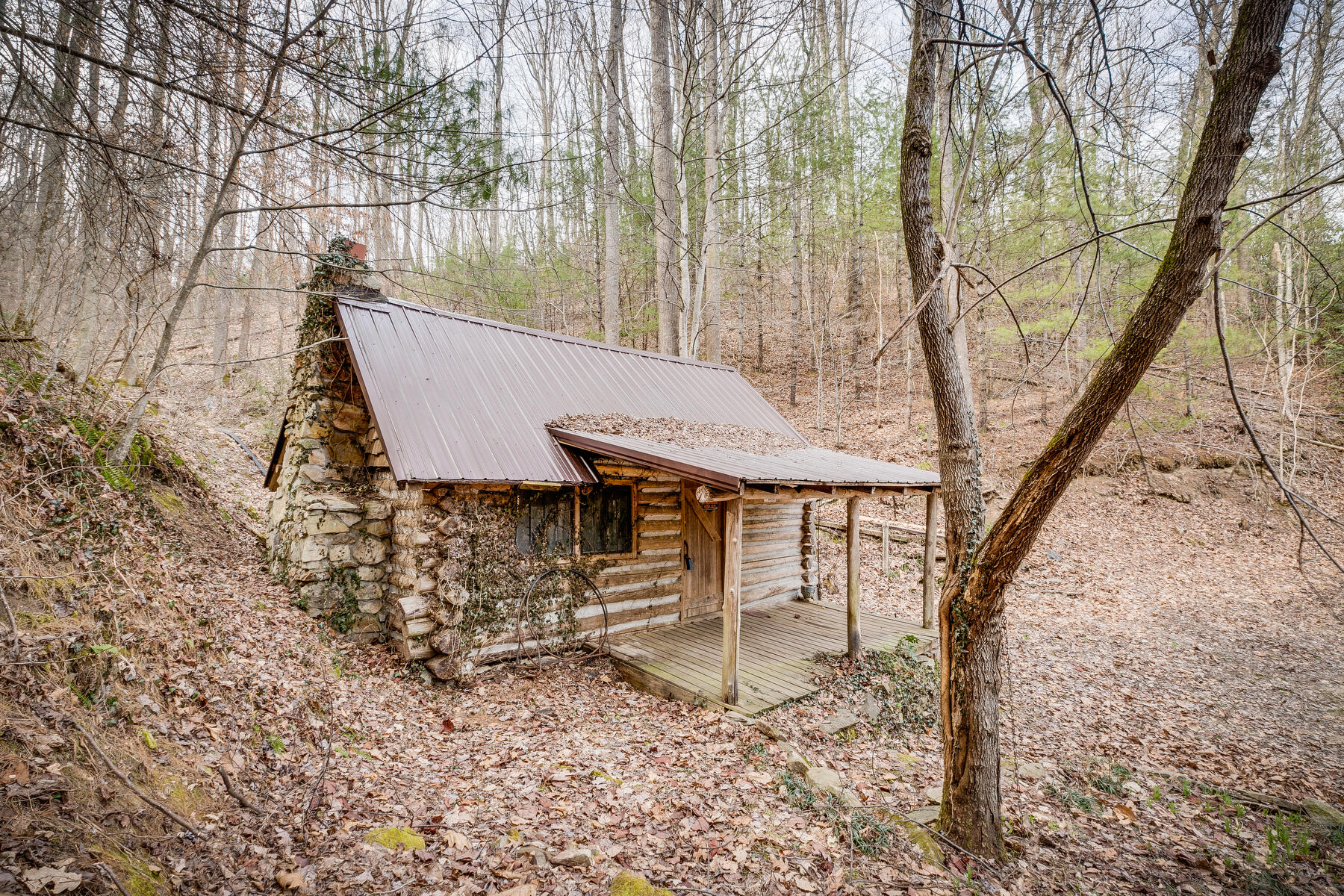 Tbd Harris Hollow Road Erwin, TN 37650 - Photo 2 of 26 002