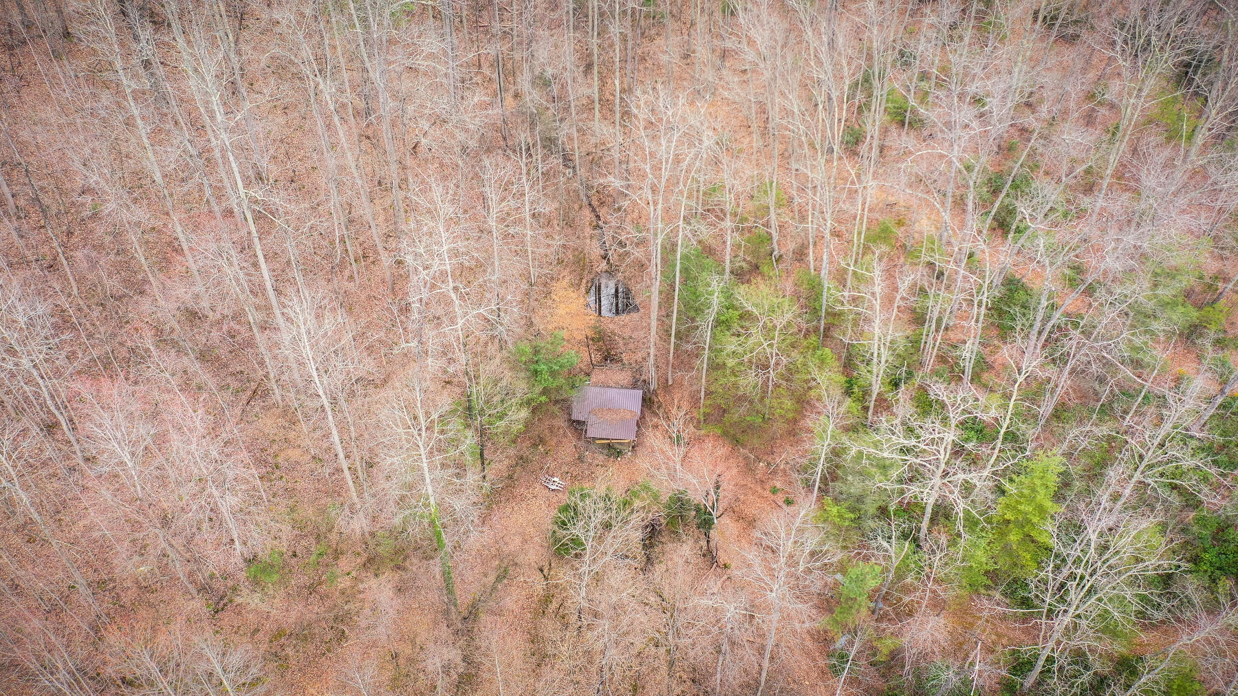 Tbd Harris Hollow Road Erwin, TN 37650 - Photo 24 of 26 115