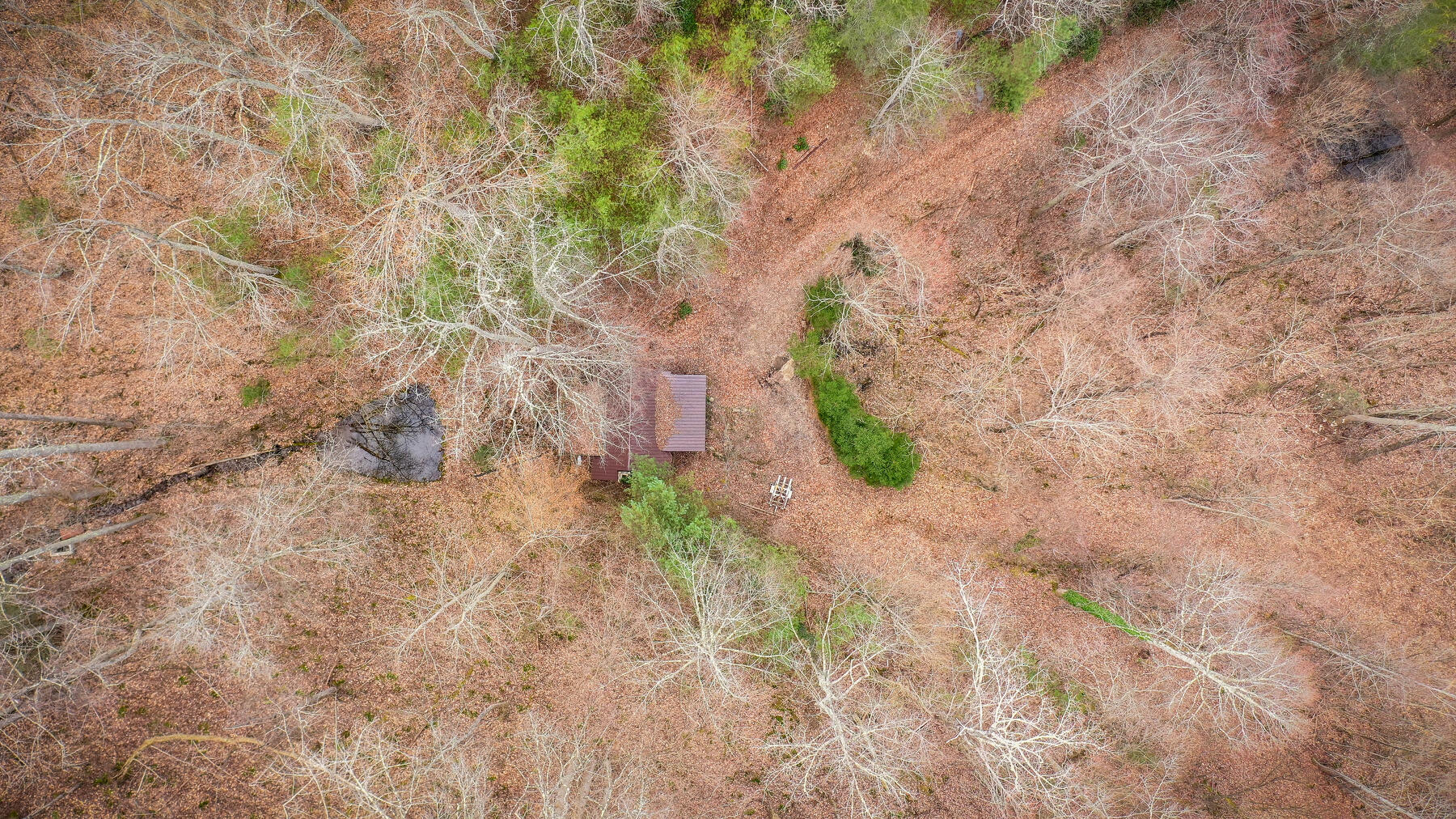 Tbd Harris Hollow Road Erwin, TN 37650 - Photo 25 of 26 116