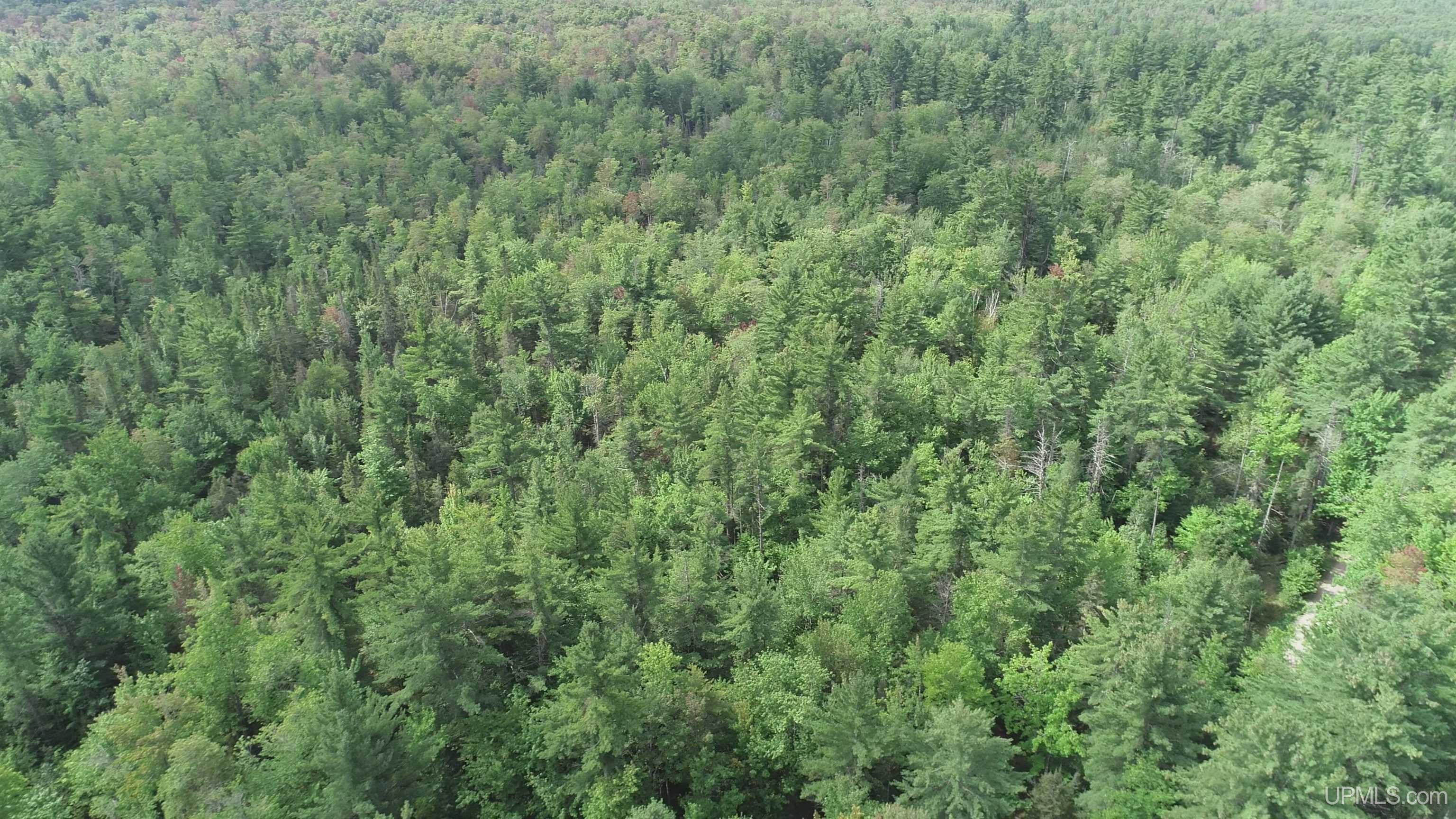 23 East 23 Mile Road Pickford, MI 49774 - Photo 30 of 58 Gallery Image 30