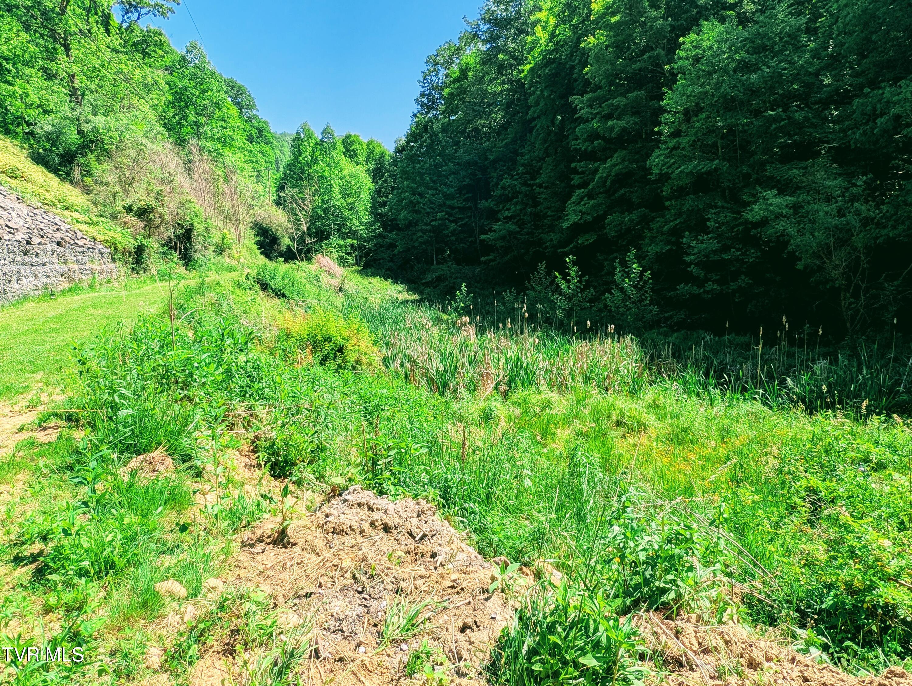 3058 Aily Road Dante, VA 24237 - Photo 20 of 54 1000022421