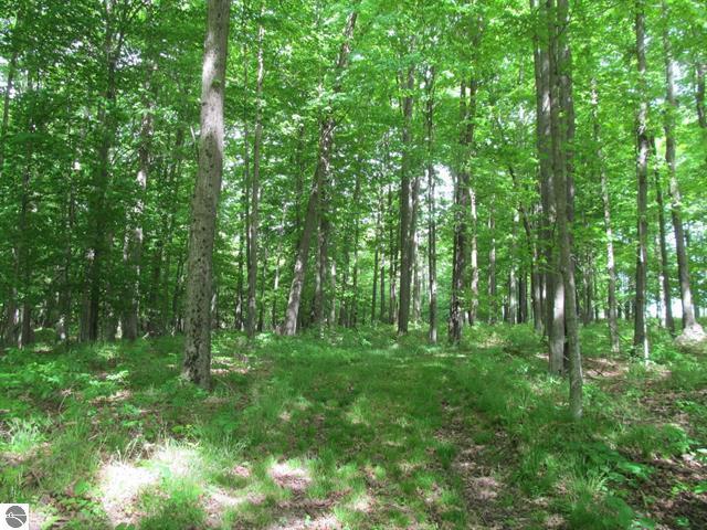 21539 22 Mile Road Tustin, MI 49688 - Photo 39 of 44 Gallery Image 39