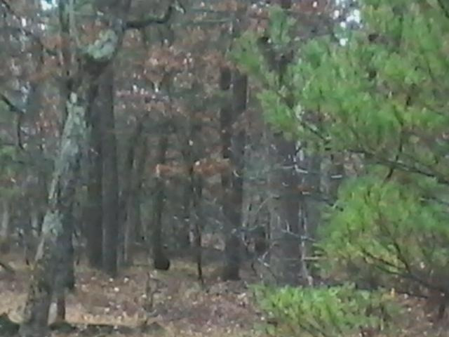 3468 South Merrillville Road Baldwin, MI 49304 - Photo 13 of 41 20141029_141127