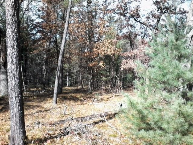 3468 South Merrillville Road Baldwin, MI 49304 - Photo 19 of 41 20141029_141852