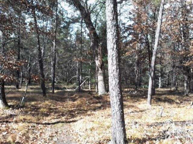 3468 South Merrillville Road Baldwin, MI 49304 - Photo 20 of 41 20141029_141855
