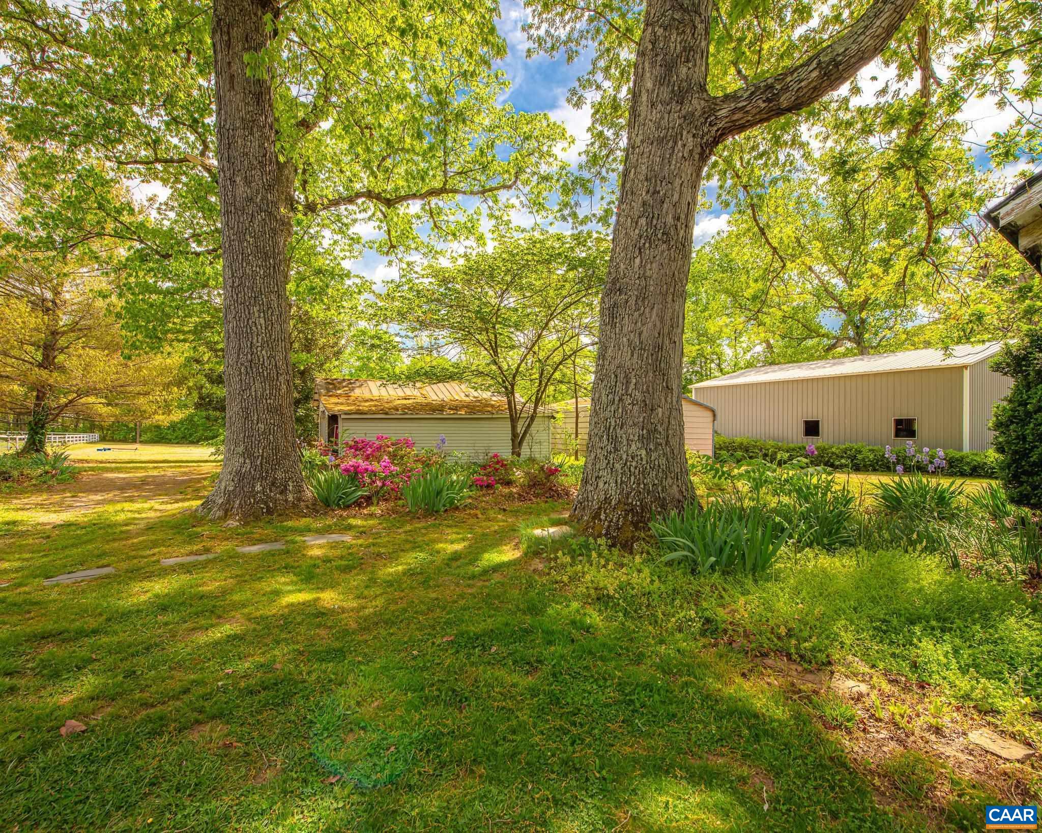 12500 Shannon Hill Road Louisa, VA 23093 - Photo 31 of 59 a view of a garden with plants and large trees