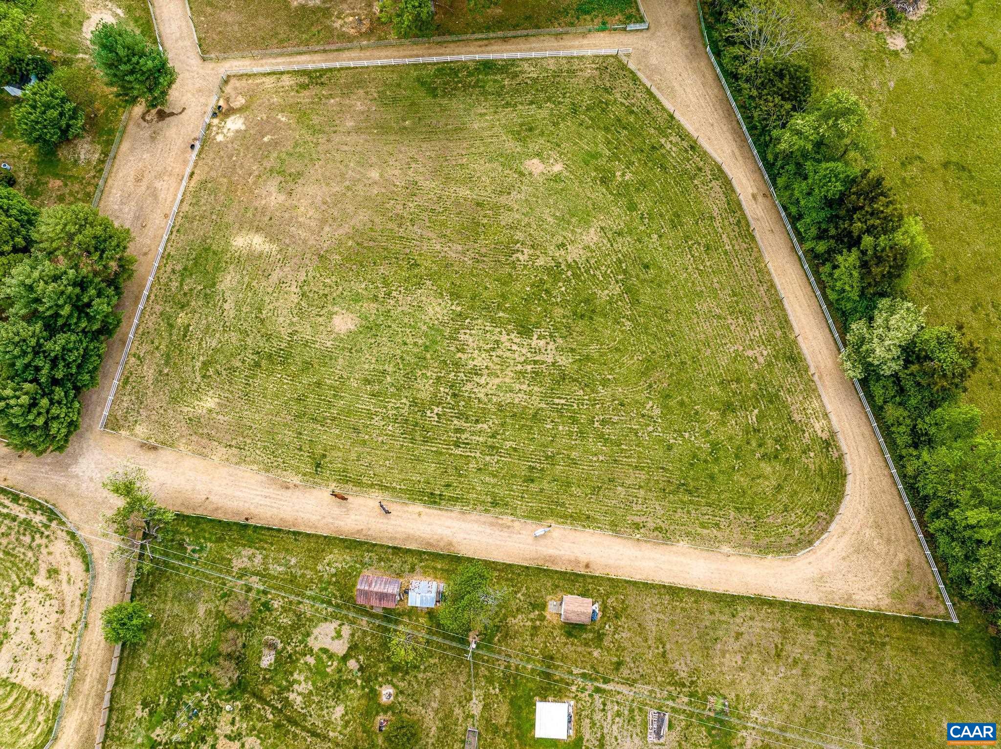 12500 Shannon Hill Road Louisa, VA 23093 - Photo 45 of 59 a view of a yard