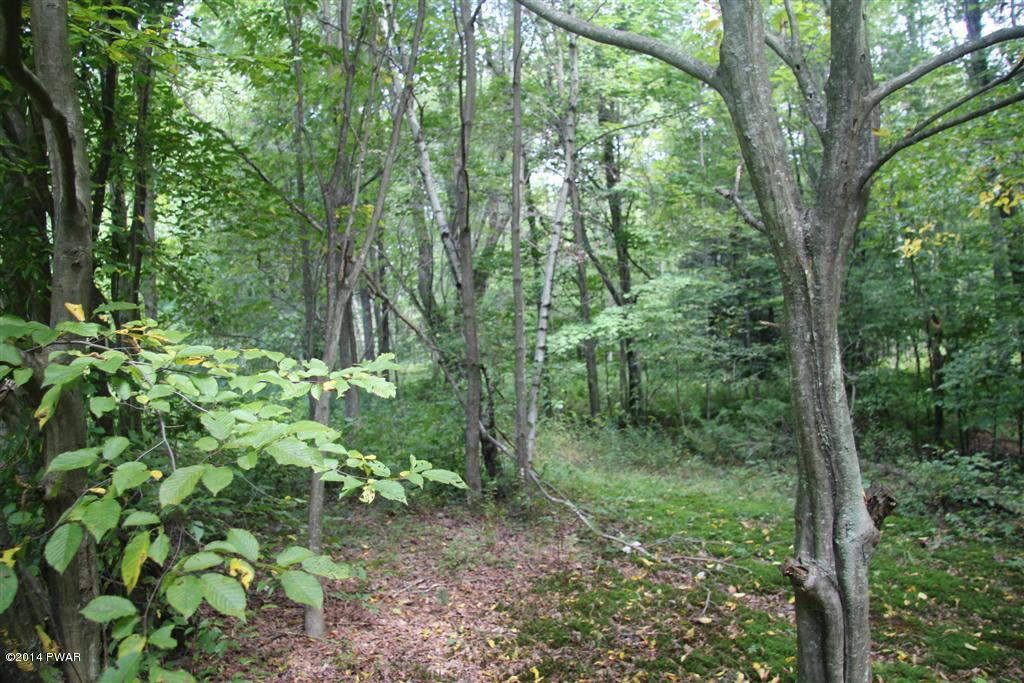 49 Shaffer Road Lake Ariel, PA 18436 - Photo 30 of 31