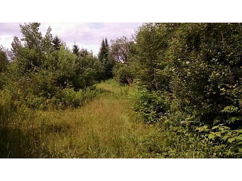 0 Route 170 Prentiss Twp T7 R3 Nbpp Me 04487 Springfield, ME 04487 - Photo 2 of 4 Land/Lot.