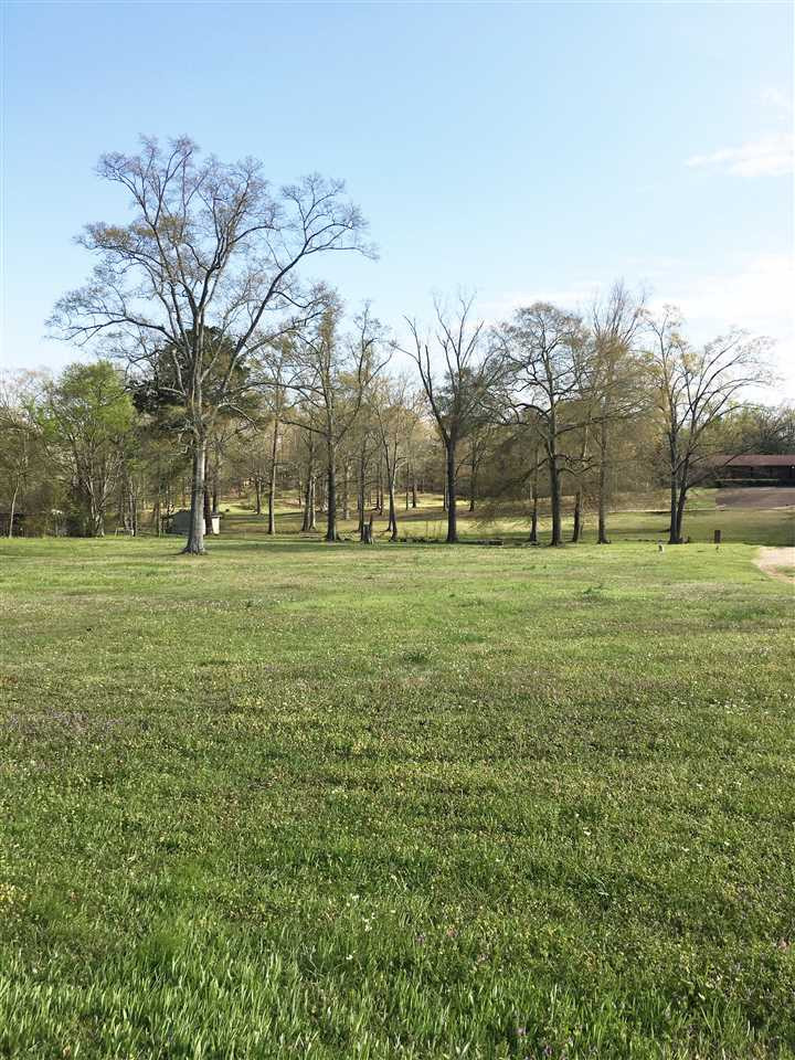 3885 Henderson Road Jackson, MS 39212 - Photo 6 of 27 Photo 6