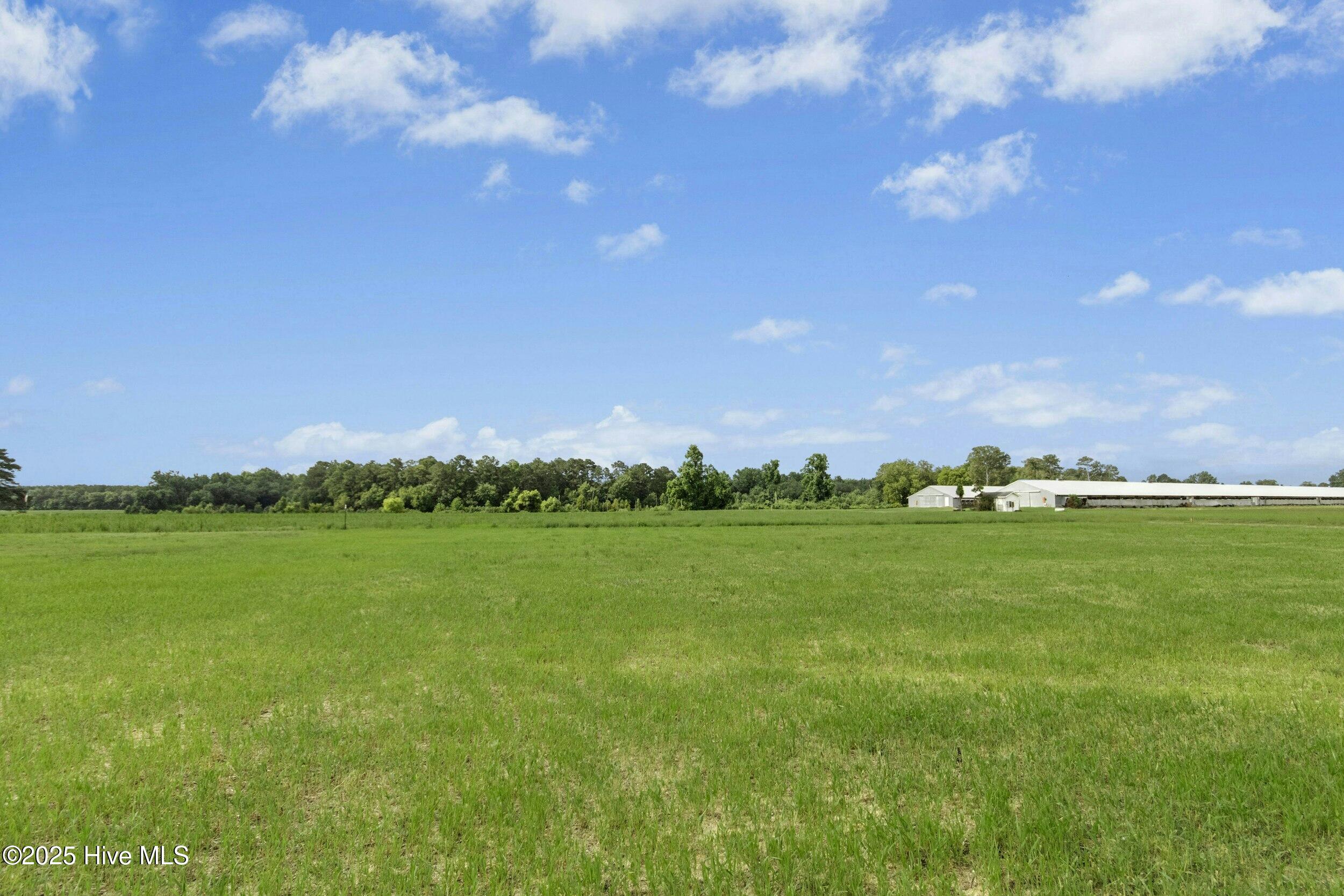 614 Tart Town Road Dunn, NC 28334 - Photo 28 of 33 026-484380-IMG_9693