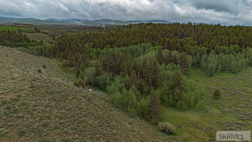 Tbd Tbd Long Hollow Road Tetonia, ID 83452 - Photo 15 of 25