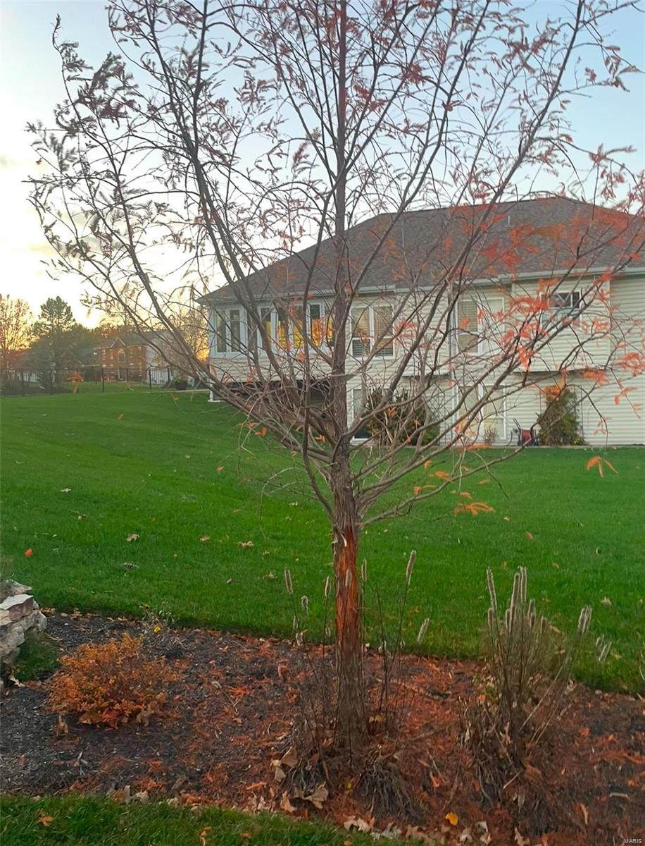 5203 Shetland Drive Weldon Spring, MO 63304 - Photo 4 of 33