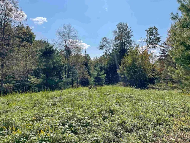 $475,000 | Tbd South Lincoln Road, Lincoln, VT 05443
