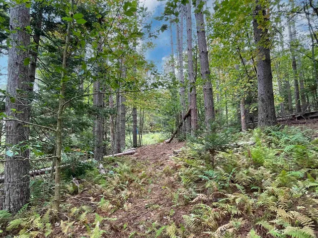 $475,000 | Tbd South Lincoln Road, Lincoln, VT 05443