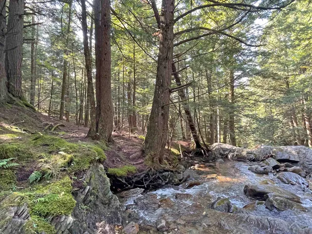 $475,000 | Tbd South Lincoln Road, Lincoln, VT 05443