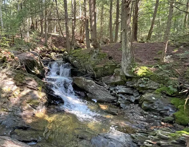 $475,000 | Tbd South Lincoln Road, Lincoln, VT 05443