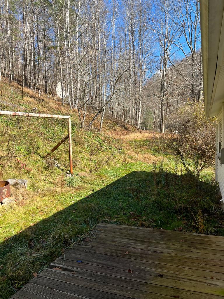 7813 Dry Fork Road North Tazewell, VA 24630 - Photo 17 of 44 Gallery Image 17