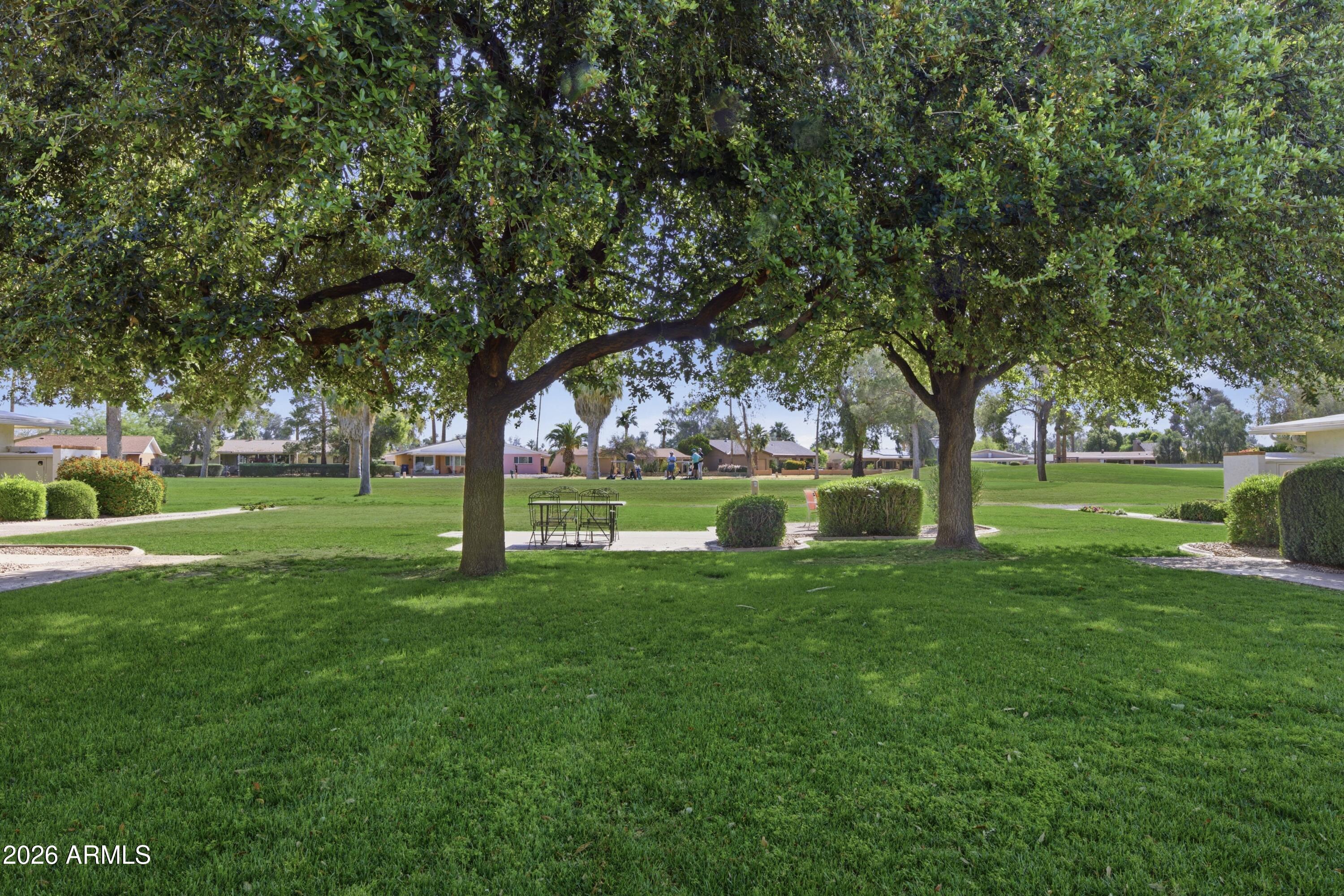 641 South Power Road, Unit 366 Mesa, AZ 85206 - Photo 15 of 22 a view of a trees with a big yard