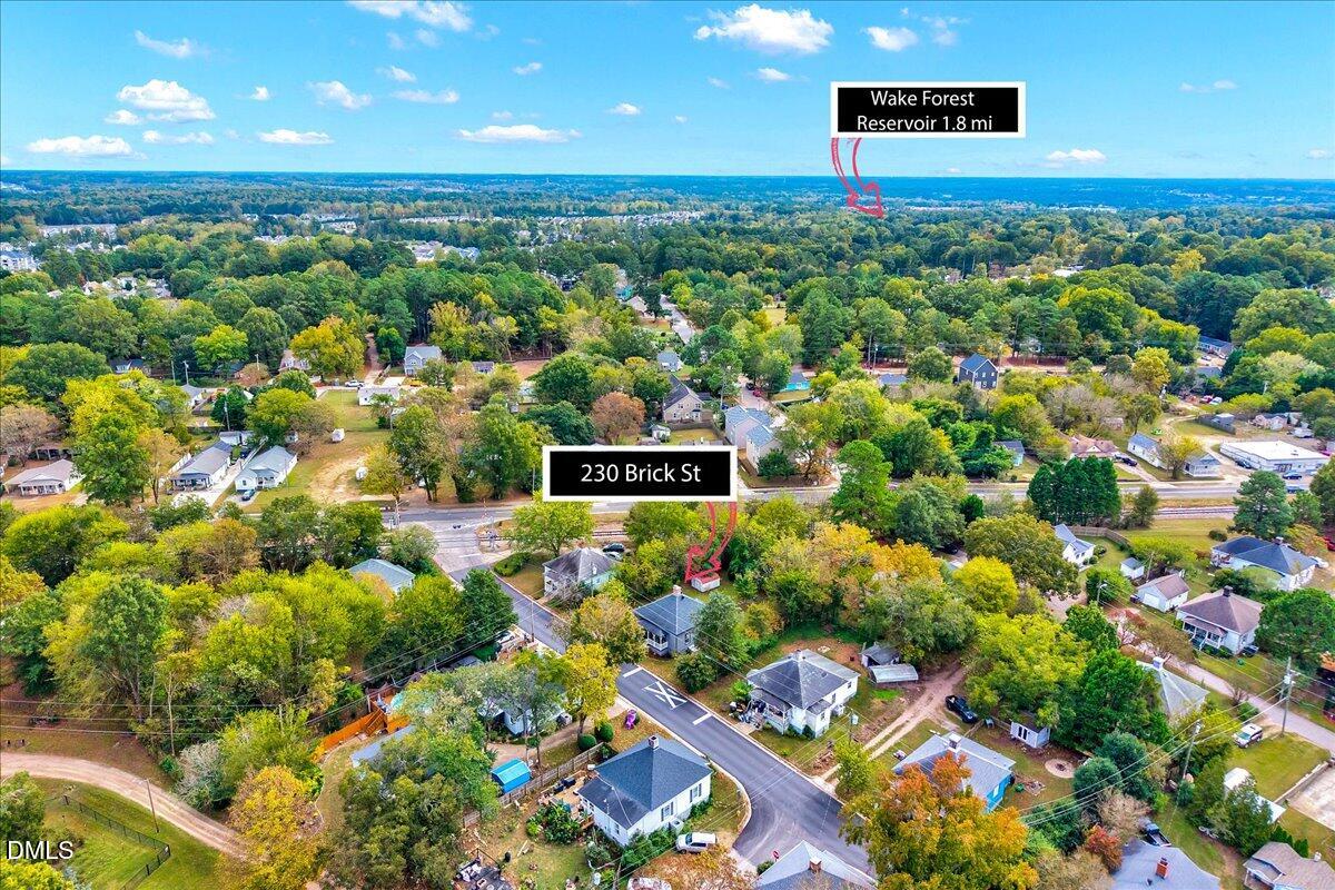 230 Brick Street Wake Forest, NC 27587 - Photo 35 of 38 a view of a bunch of flowers