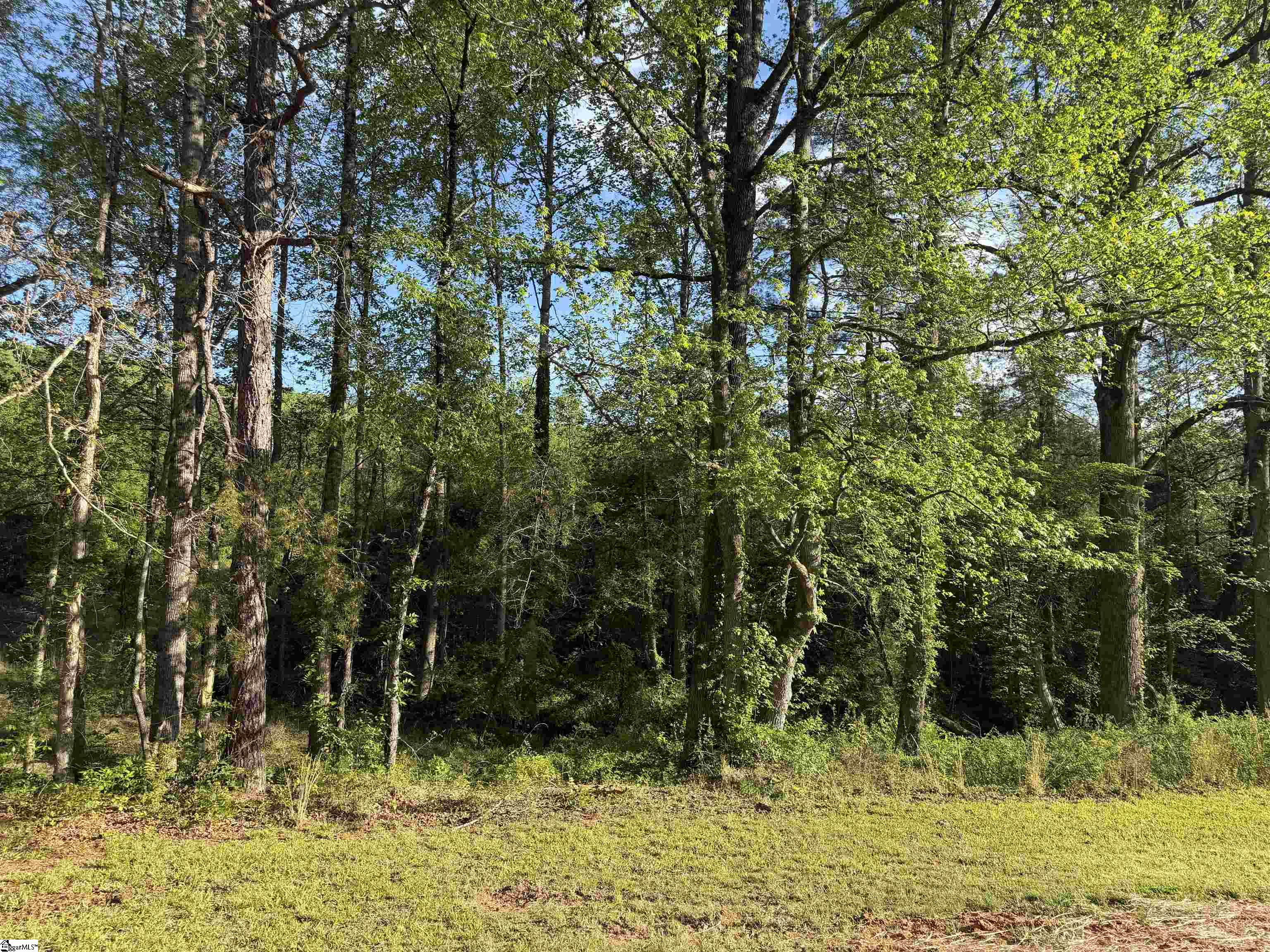 1297 Cove Creek Road Pickens, SC 29671 - Photo 4 of 23