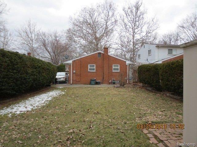 back yard 2.JPG