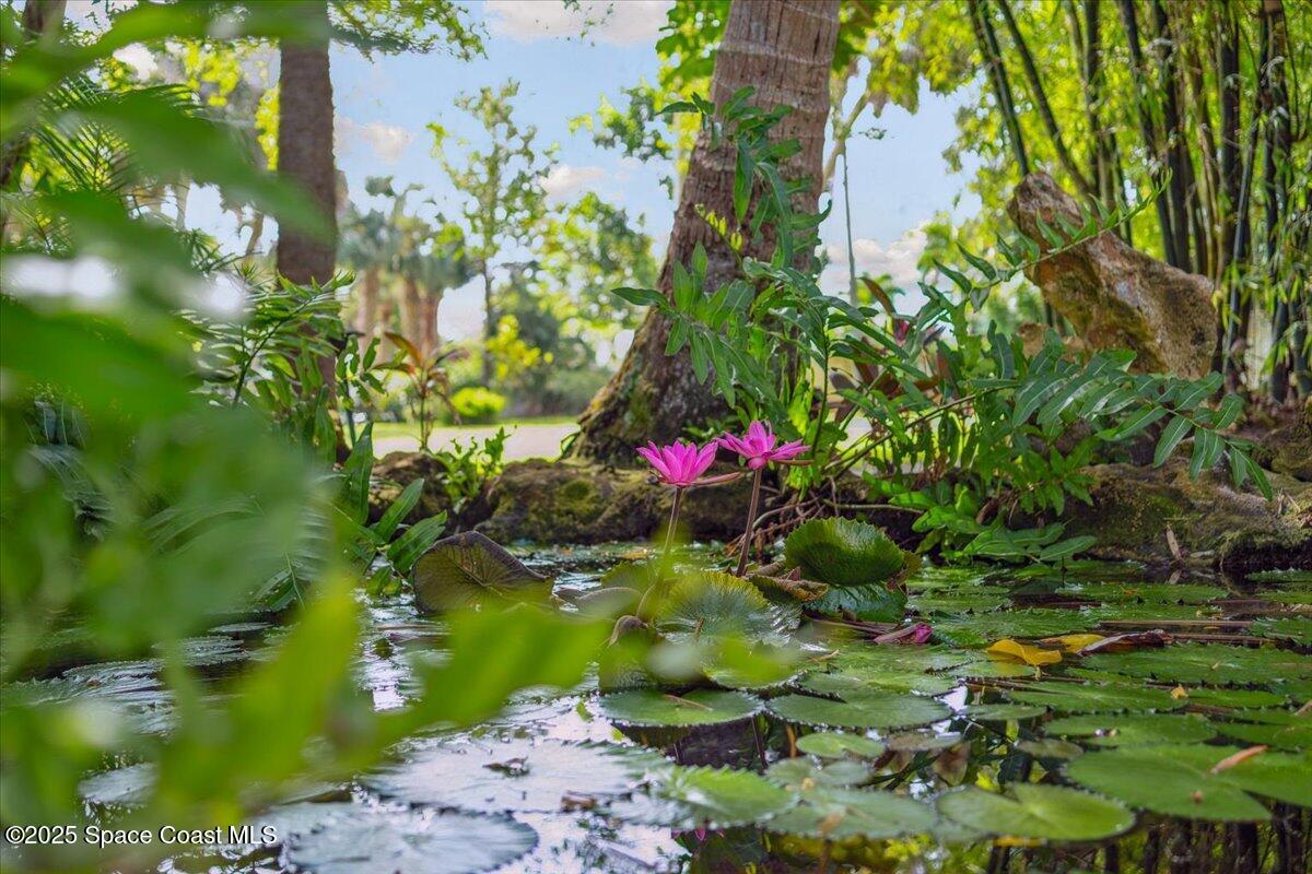 1101 River Road Melbourne Beach, FL 32951 - Photo 136 of 171 005-DSC0982610