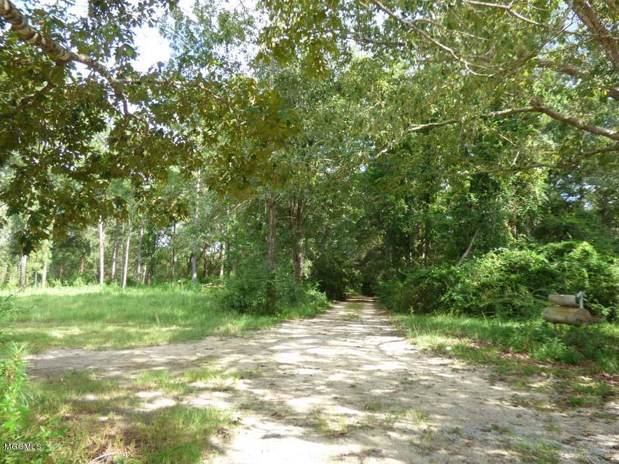 19231 Fenton Dedeaux Road Kiln, MS 39556 - Photo 23 of 25 P1010060
